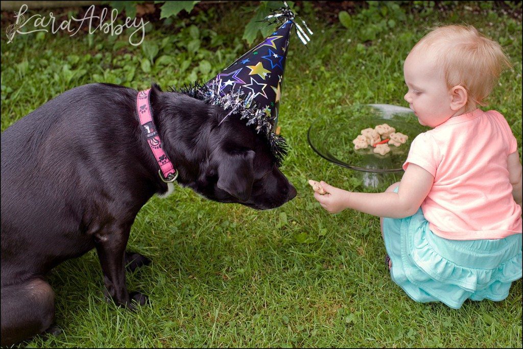 Happy Birthday Abby! A Doggie Birthday Party by Kara Abbey Photography in Irwin, PA