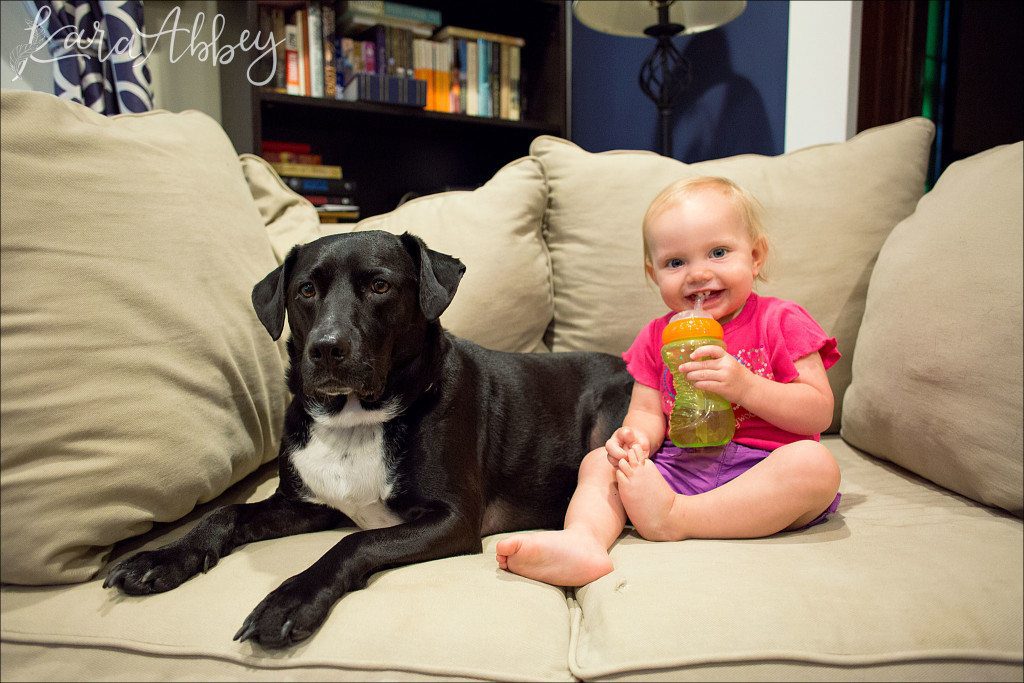 Abby's Saturday - Lifestyle Backyard Pet Photography Black Lab in Irwin, PA