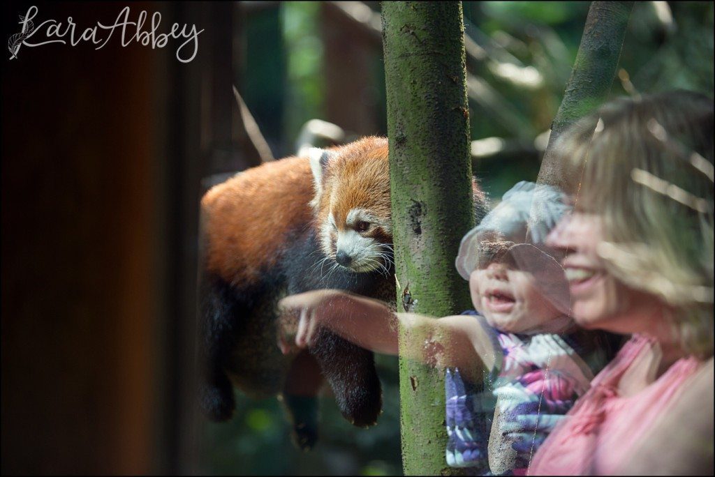 Pittsburgh Zoo & Aquarium Summer Day by Kara Abbey Photography in Irwin, PA