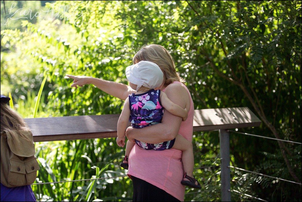 Pittsburgh Zoo & Aquarium Summer Day by Kara Abbey Photography in Irwin, PA