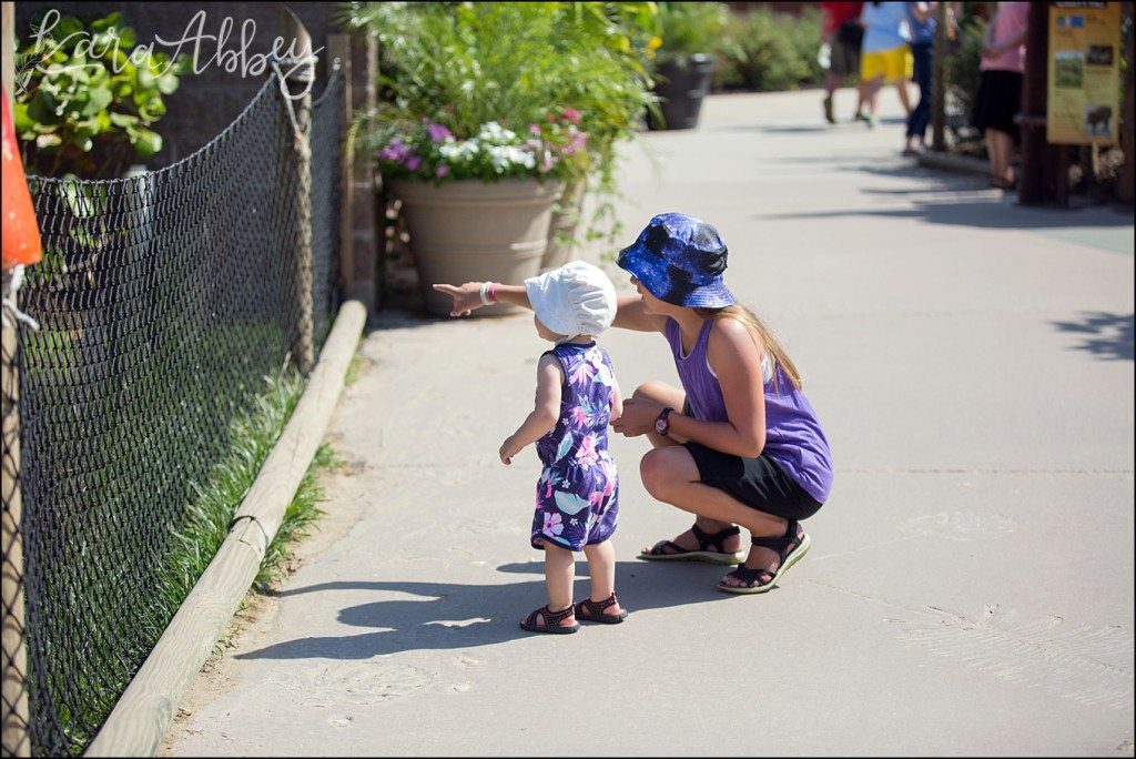 Pittsburgh Zoo & Aquarium Summer Day by Kara Abbey Photography in Irwin, PA