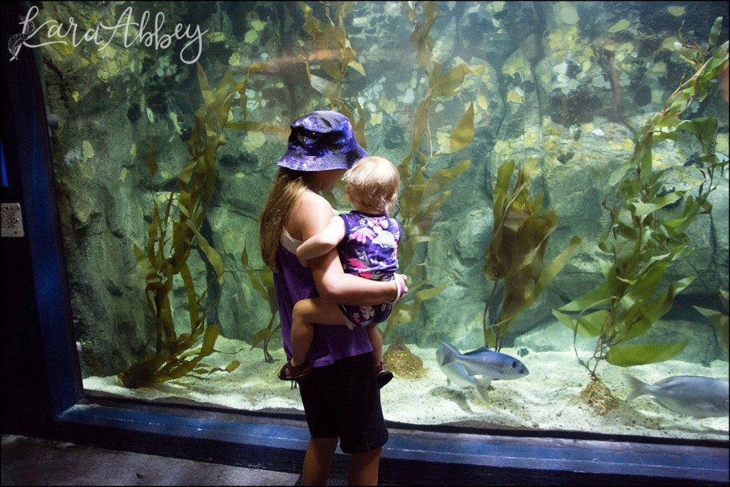 Pittsburgh Zoo & Aquarium Summer Day by Kara Abbey Photography in Irwin, PA