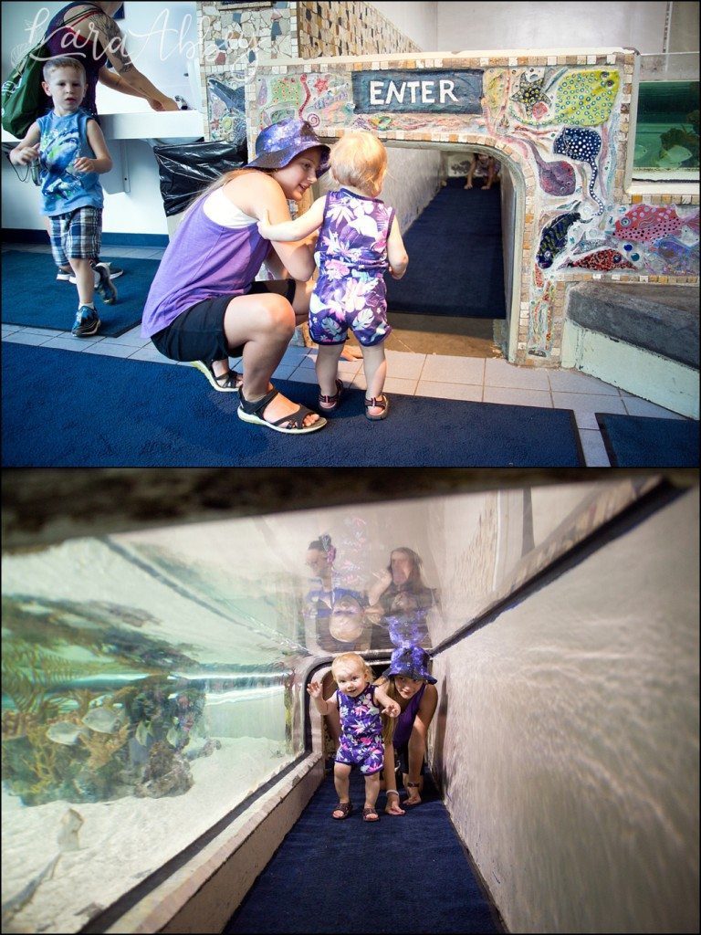 Pittsburgh Zoo & Aquarium Summer Day by Kara Abbey Photography in Irwin, PA