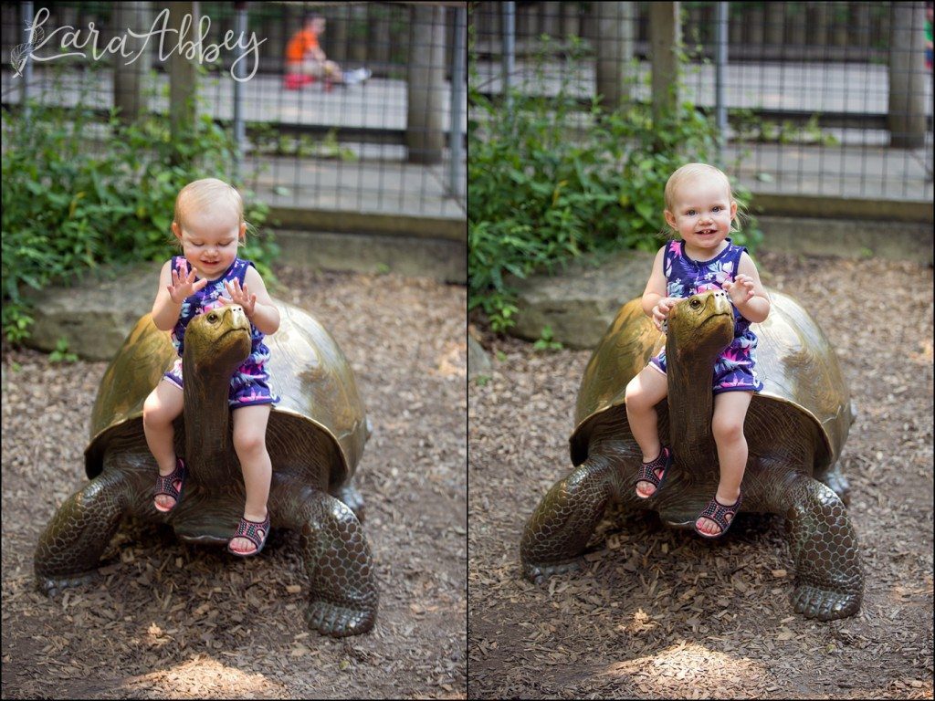 Pittsburgh Zoo & Aquarium Summer Day by Kara Abbey Photography in Irwin, PA