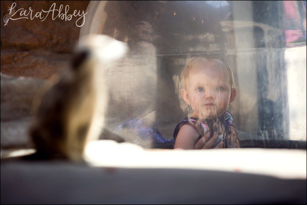 Pittsburgh Zoo & Aquarium Summer Day by Kara Abbey Photography in Irwin, PA