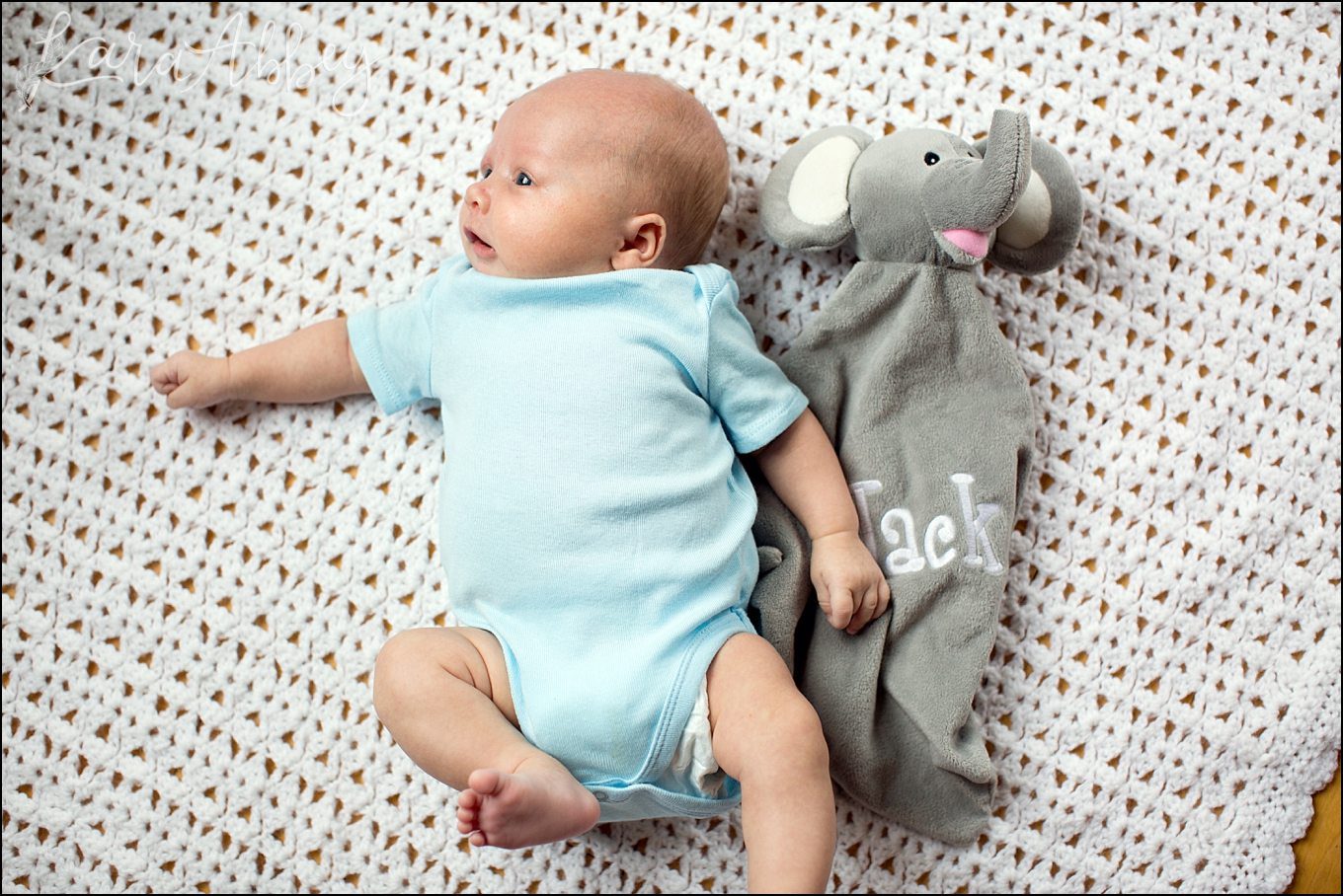 Outdoor Family & Newborn Photos at Home in Owego, NY by Kara Abbey Photography in Irwin, PA