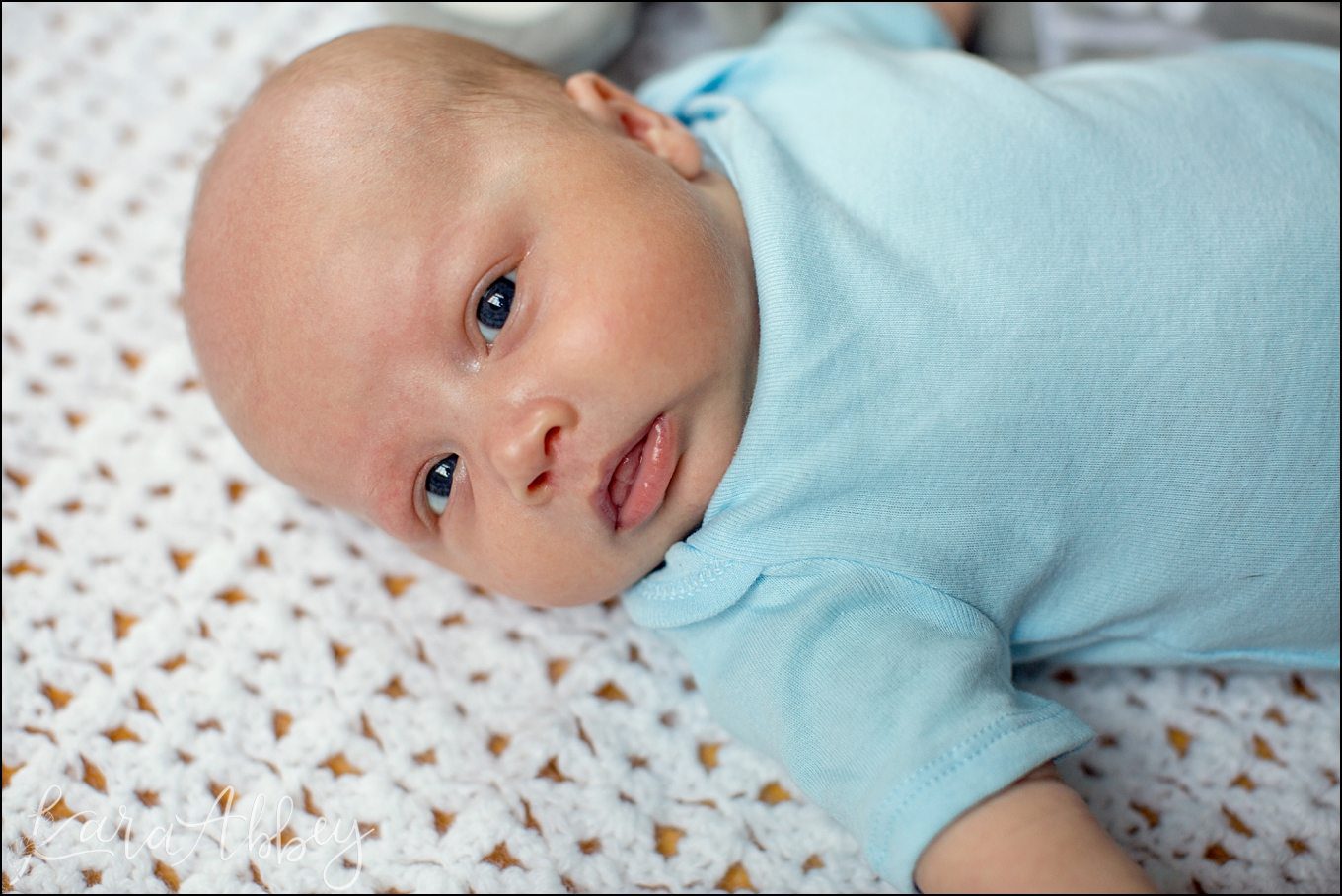 Outdoor Family & Newborn Photos at Home in Owego, NY by Kara Abbey Photography in Irwin, PA