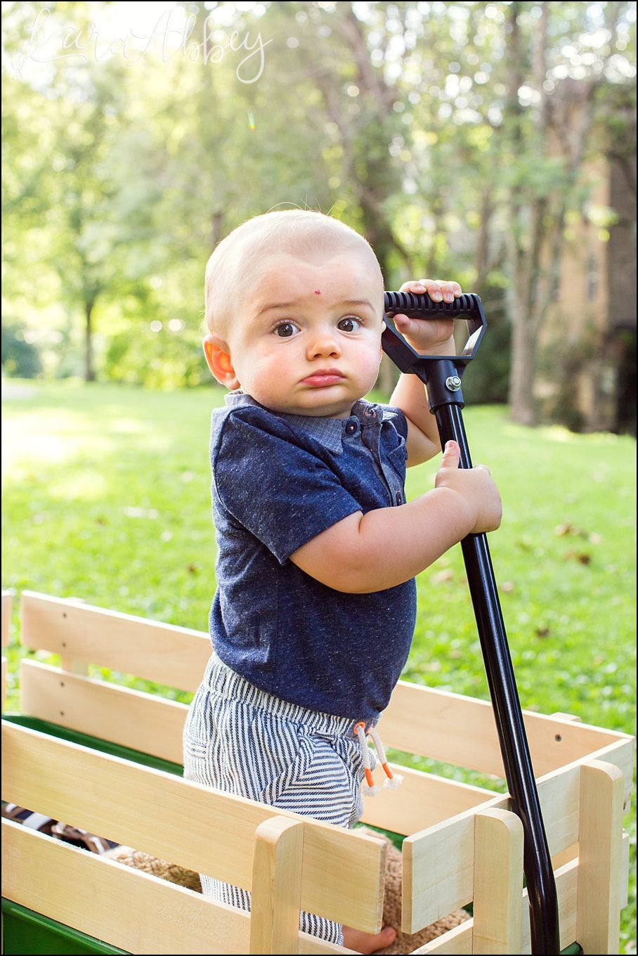 Summer Family Portraits at Manor Park in Irwin, PA by Kara Abbey Photography