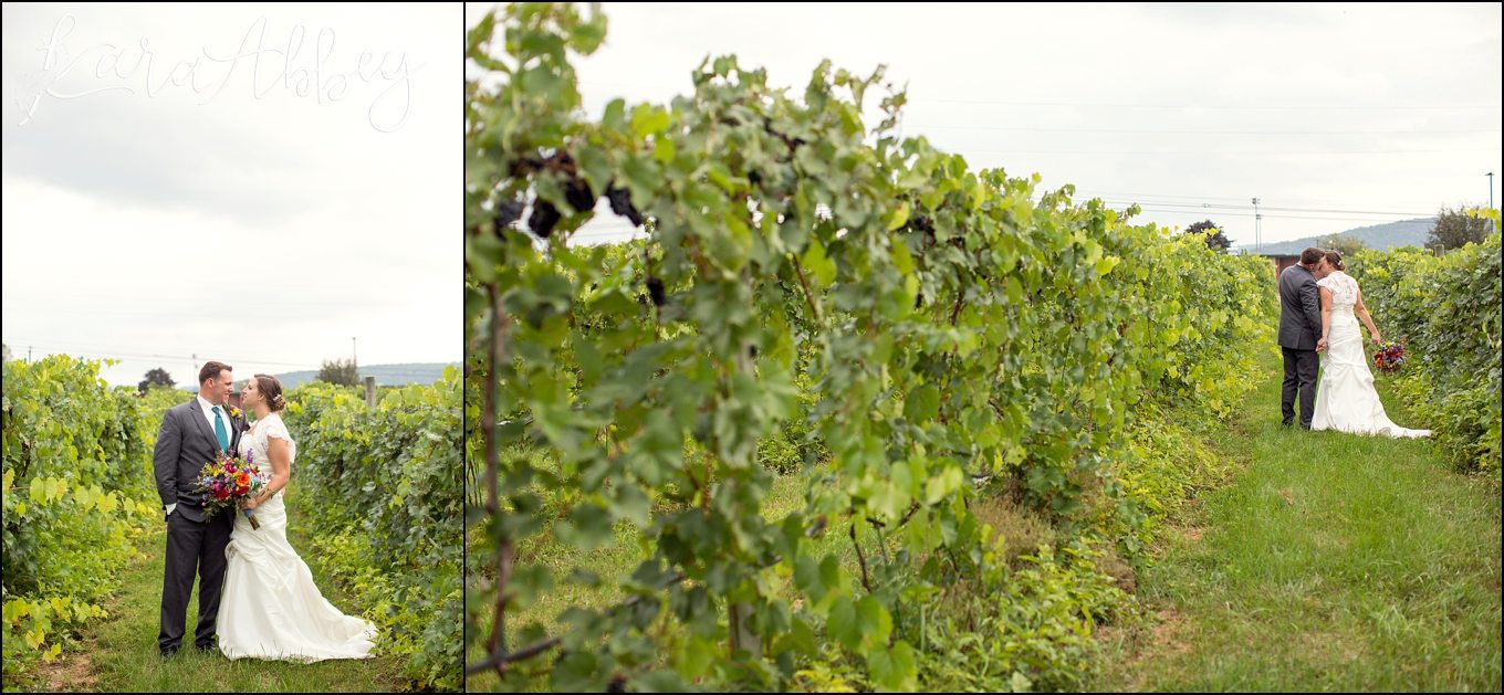 Summer Outdoor Grovedale Winery Vineyards Wyalusing, PA Wedding Portraits by Kara Abbey Photography in Irwin, PA