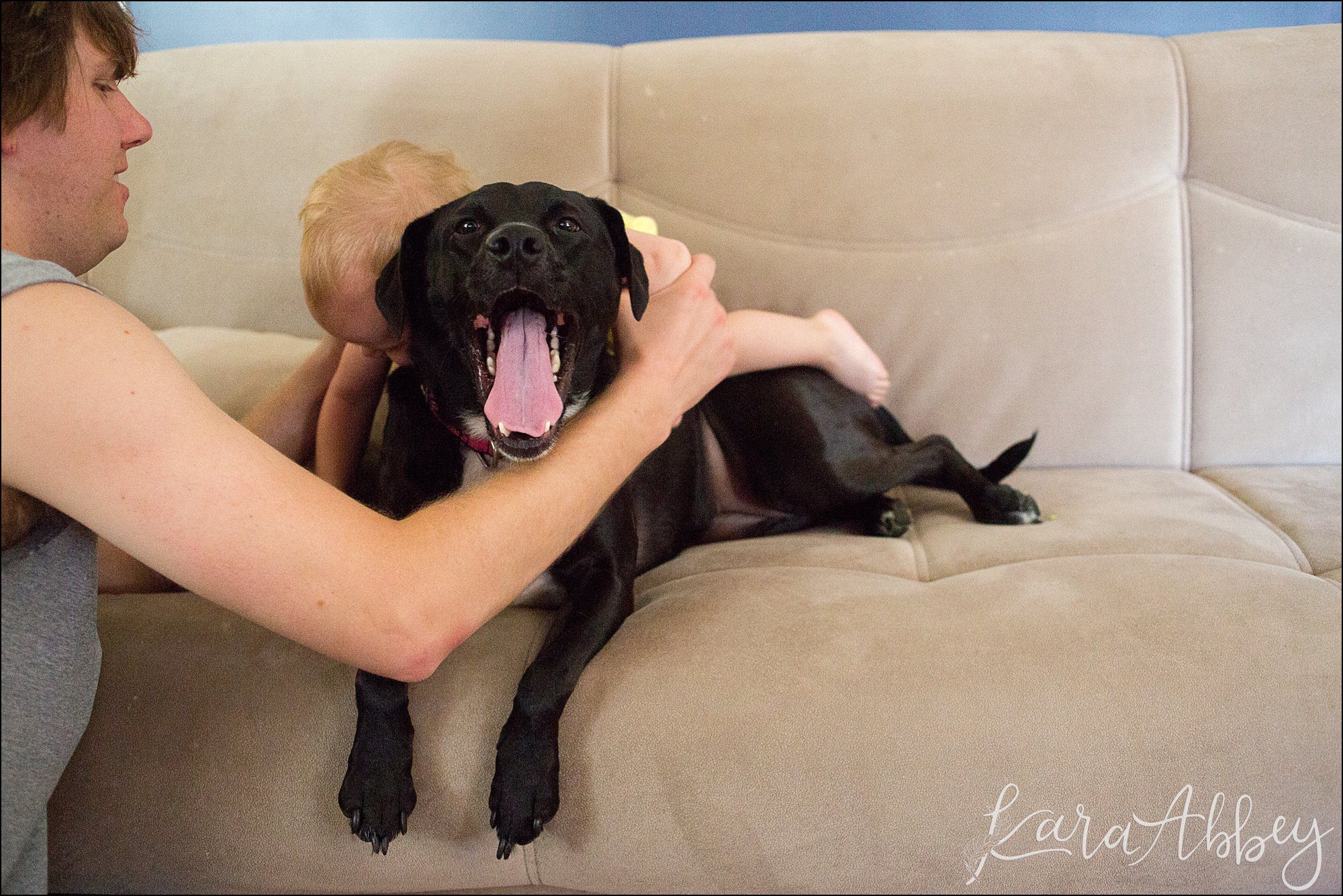 Abby's Saturday (a weekly photo featuring my Black Lab) BLOOPER REEL from 2016 by Irwin, PA Photographer