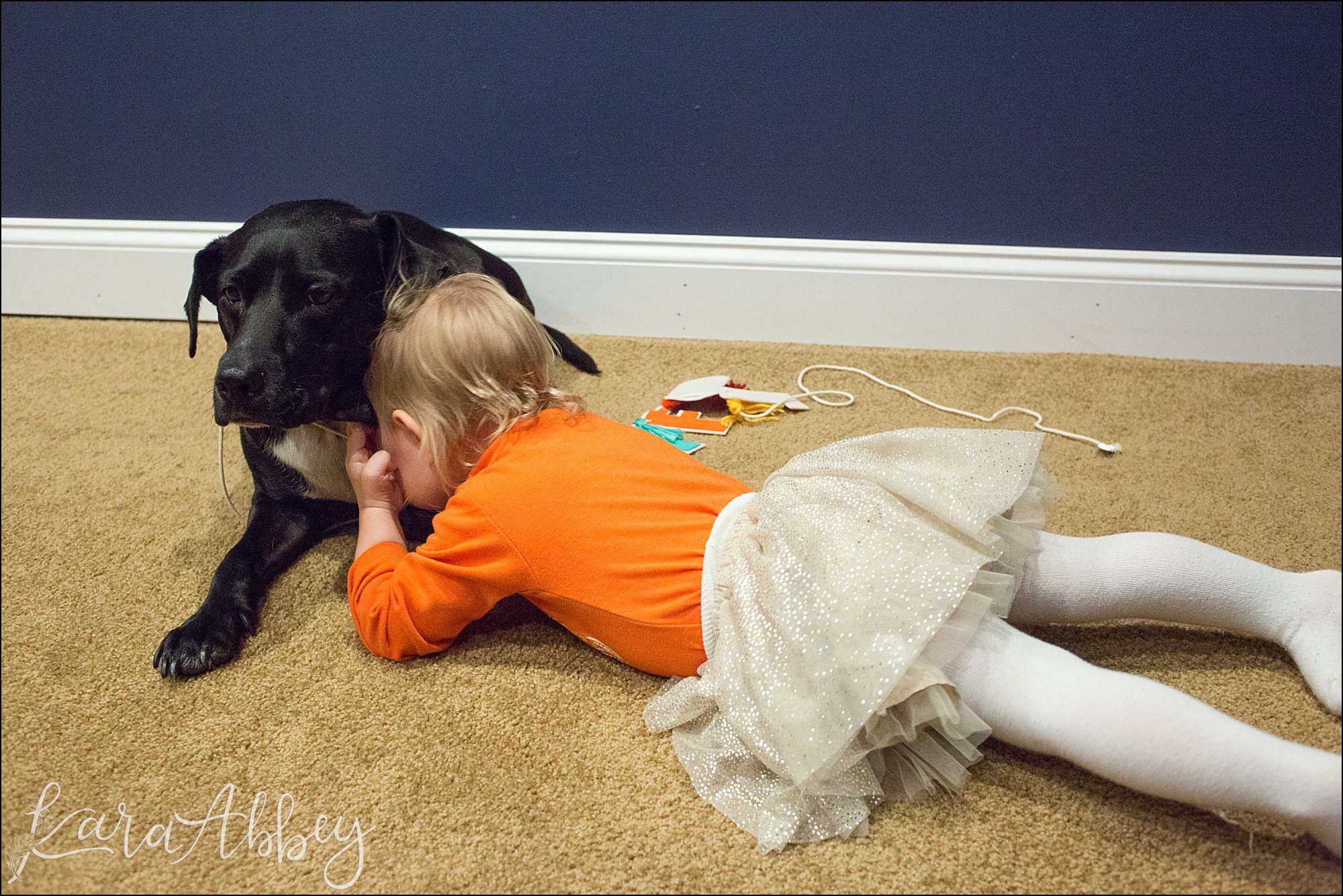 Abby's Saturday (a weekly photo featuring my Black Lab) BLOOPER REEL from 2016 by Irwin, PA Photographer