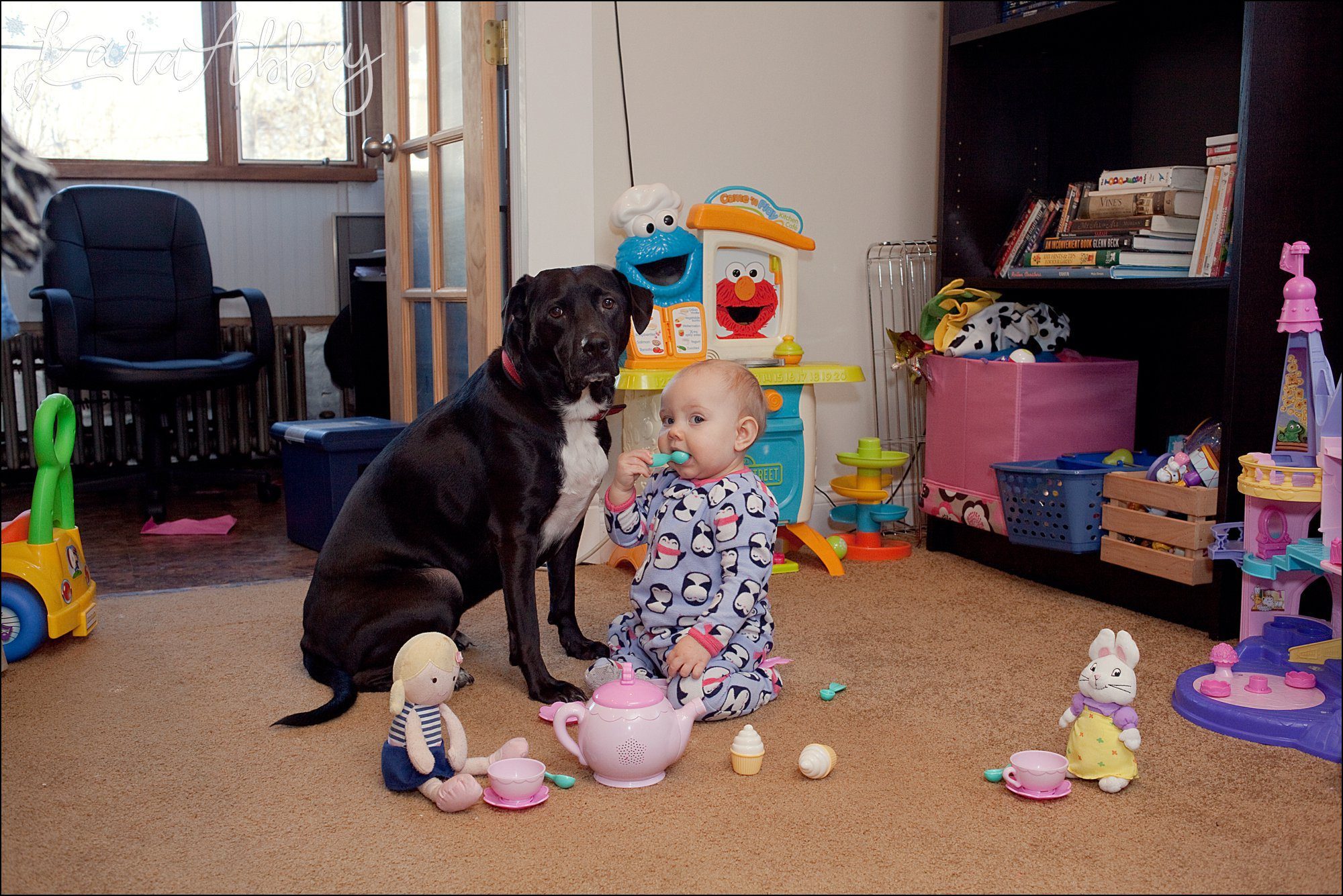 Abby's Saturday (a weekly photo featuring my Black Lab) BLOOPER REEL from 2016 by Irwin, PA Photographer