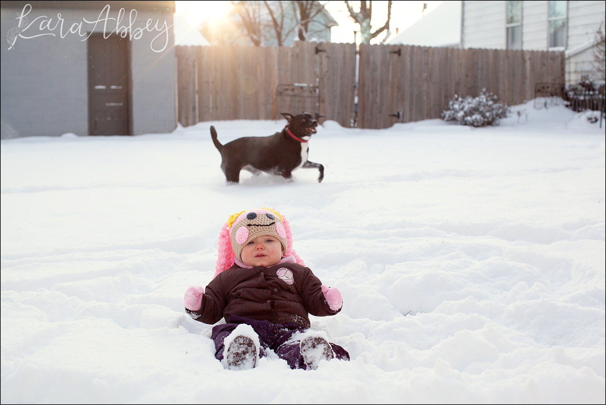 Abby's Saturday (a weekly photo featuring my Black Lab) BLOOPER REEL from 2016 by Irwin, PA Photographer