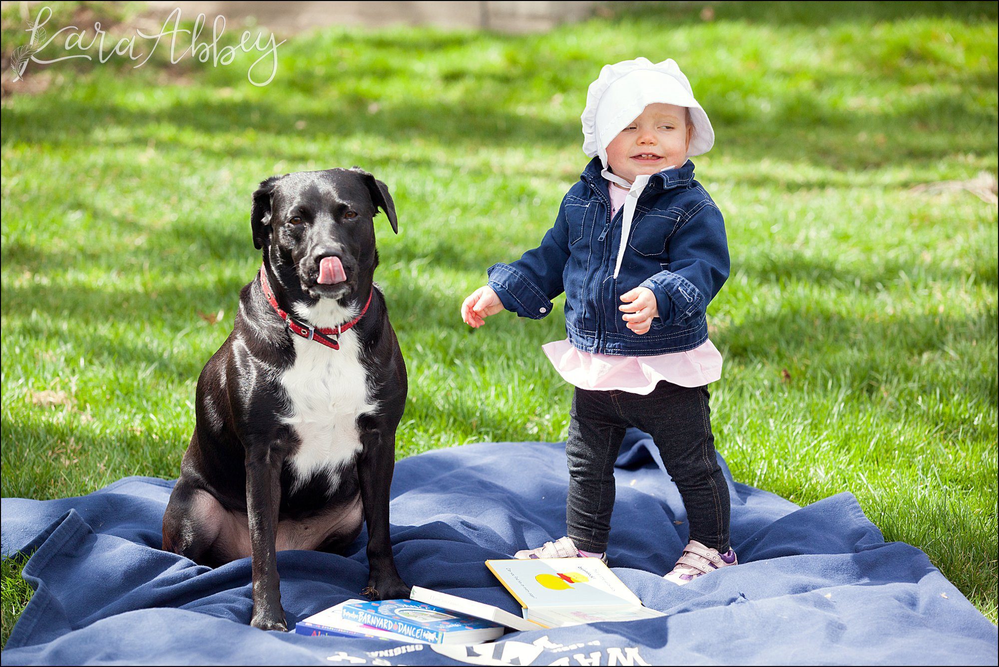 Abby's Saturday (a weekly photo featuring my Black Lab) BLOOPER REEL from 2016 by Irwin, PA Photographer