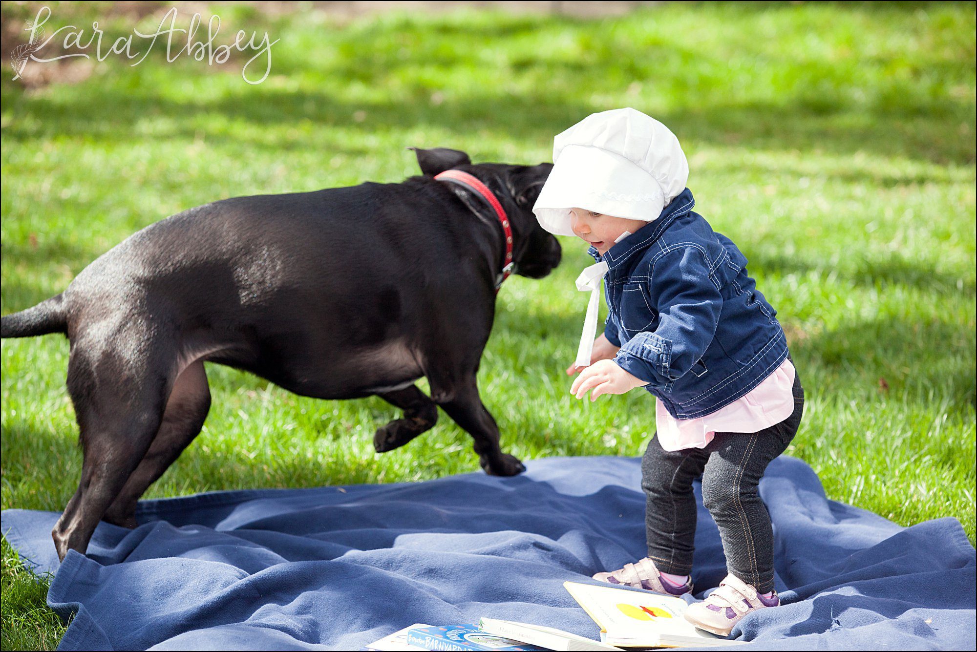 Abby's Saturday (a weekly photo featuring my Black Lab) BLOOPER REEL from 2016 by Irwin, PA Photographer