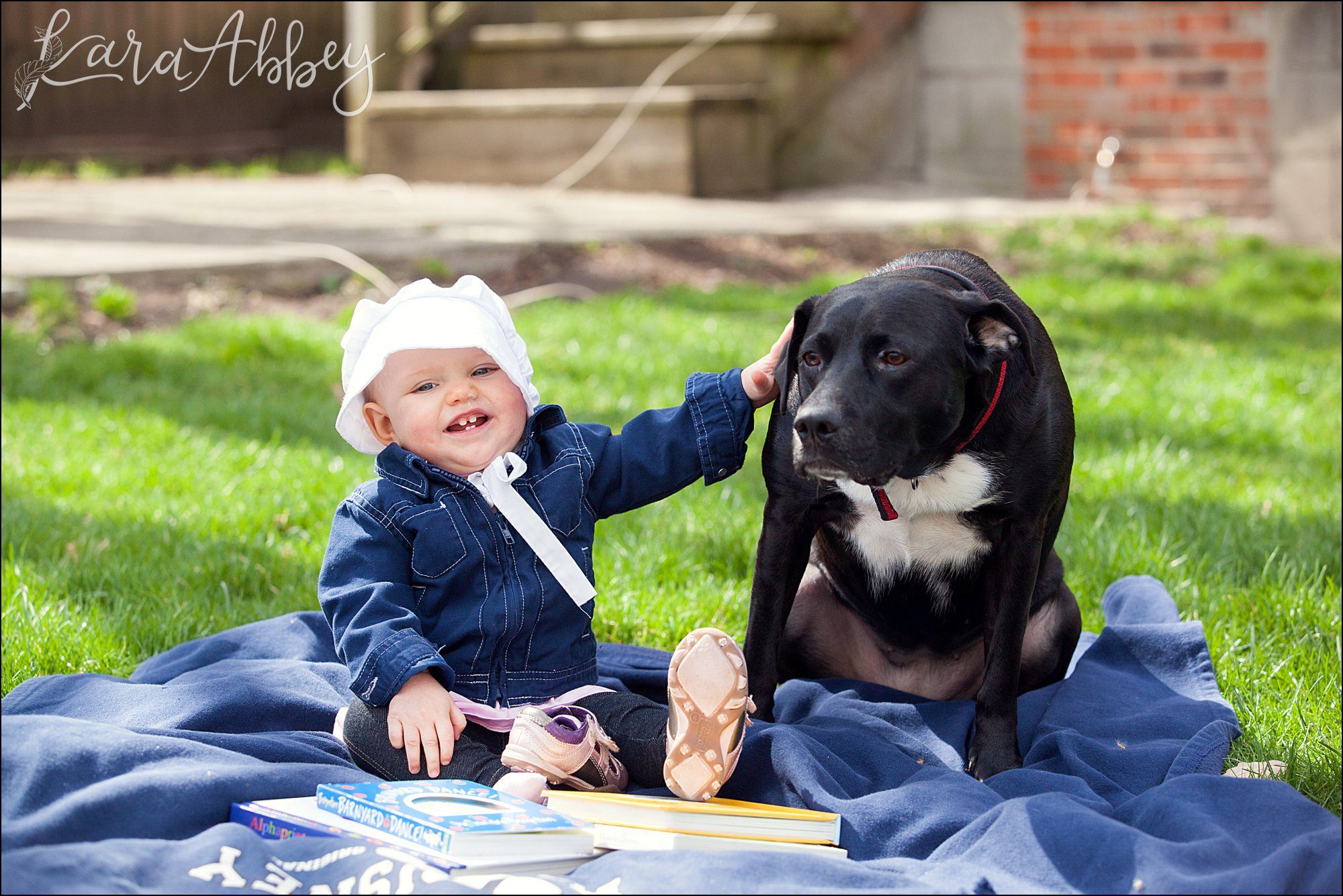 Abby's Saturday (a weekly photo featuring my Black Lab) BLOOPER REEL from 2016 by Irwin, PA Photographer