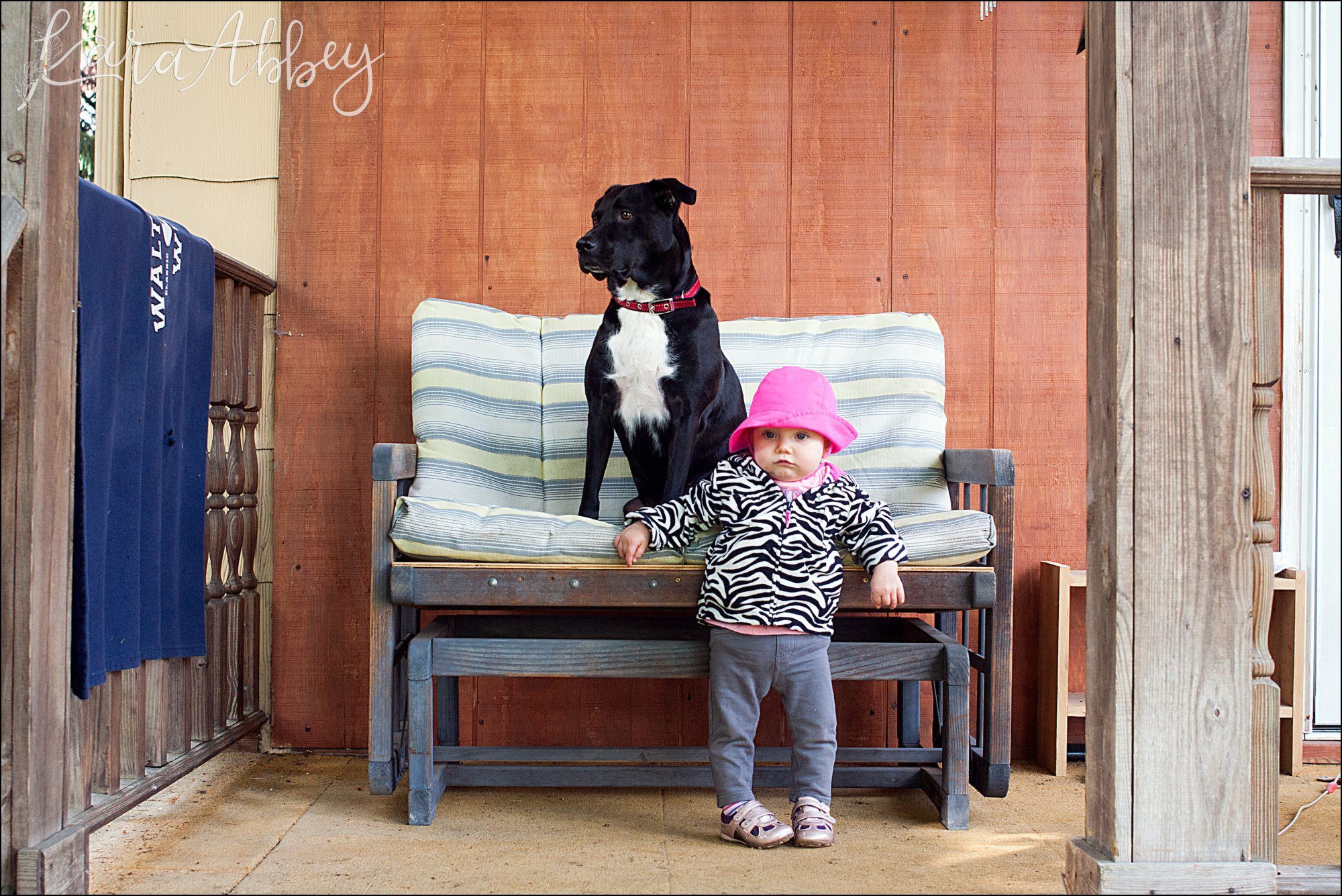 Abby's Saturday (a weekly photo featuring my Black Lab) BLOOPER REEL from 2016 by Irwin, PA Photographer