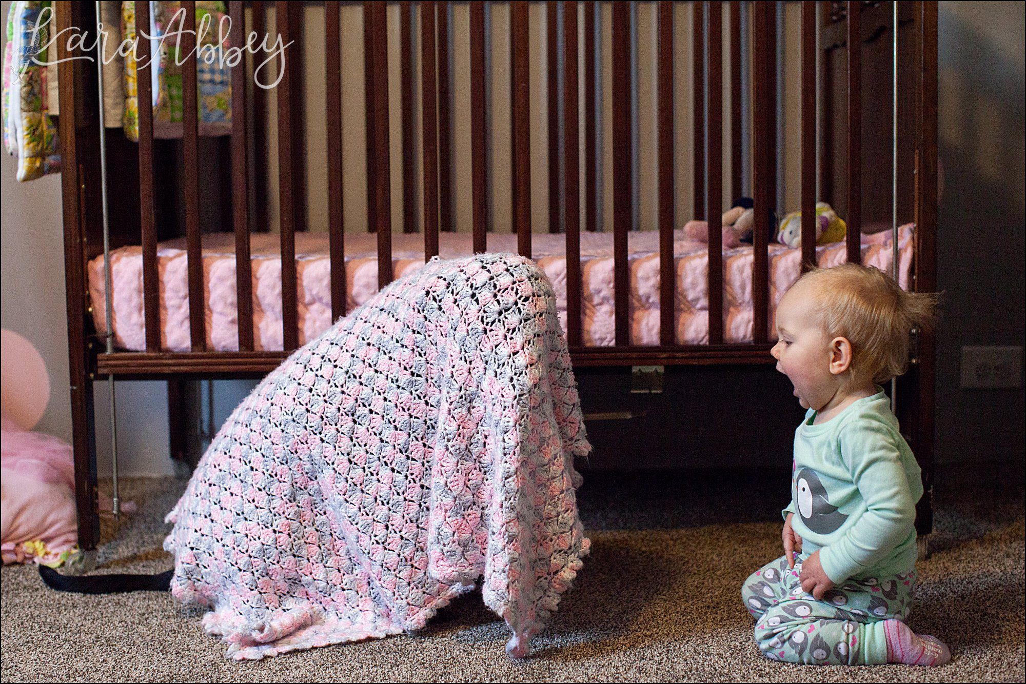 Abby's Saturday (a weekly photo featuring my Black Lab) BLOOPER REEL from 2016 by Irwin, PA Photographer