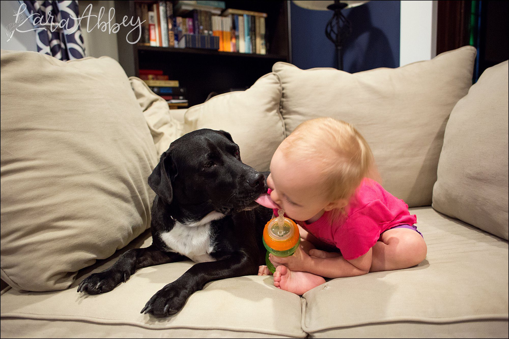 Abby's Saturday (a weekly photo featuring my Black Lab) BLOOPER REEL from 2016 by Irwin, PA Photographer