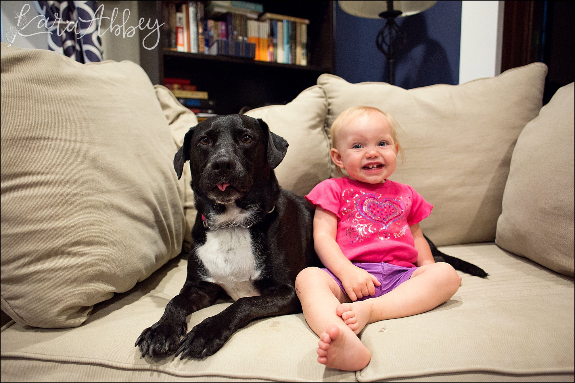 Abby's Saturday (a weekly photo featuring my Black Lab) BLOOPER REEL from 2016 by Irwin, PA Photographer