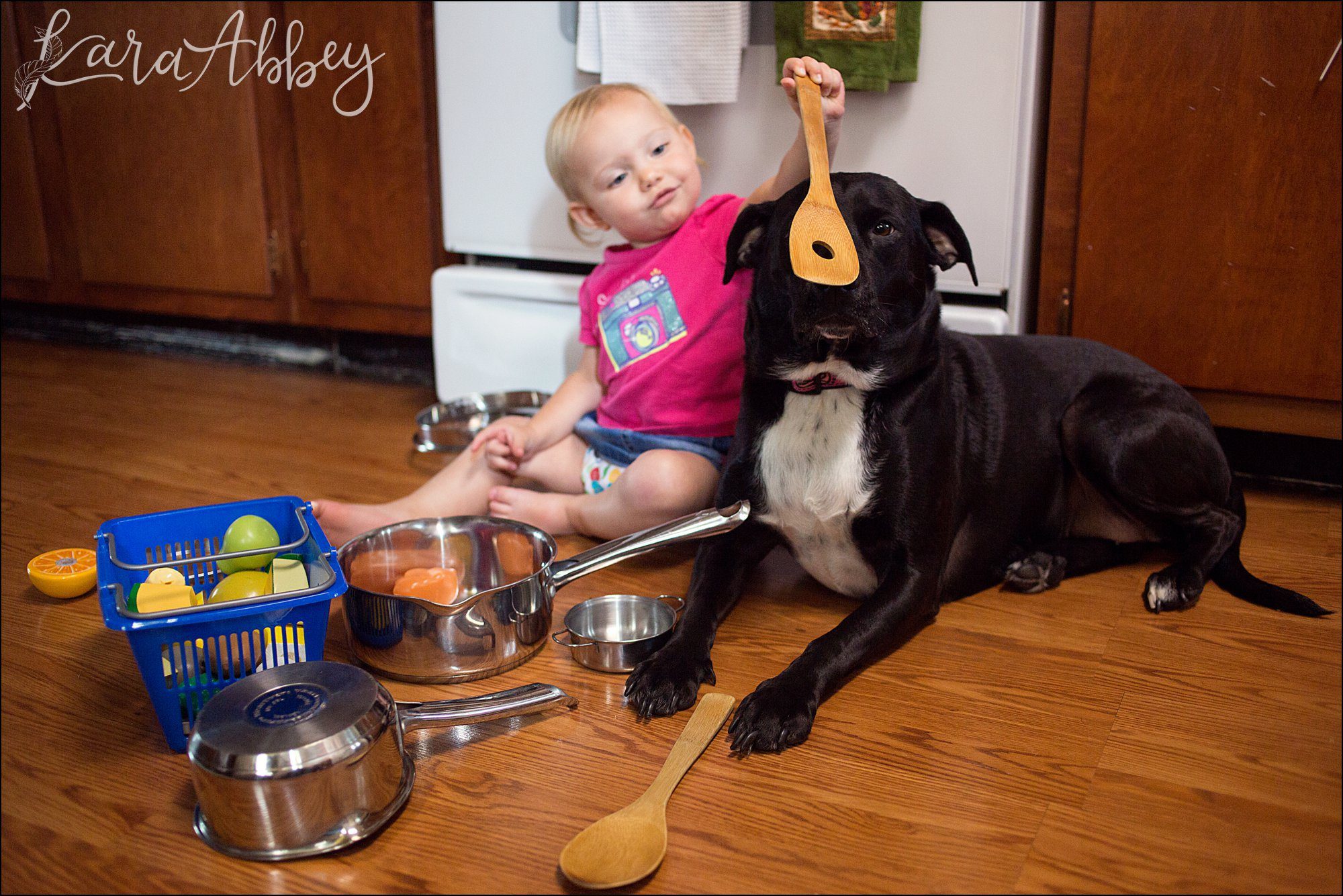 Abby's Saturday (a weekly photo featuring my Black Lab) BLOOPER REEL from 2016 by Irwin, PA Photographer