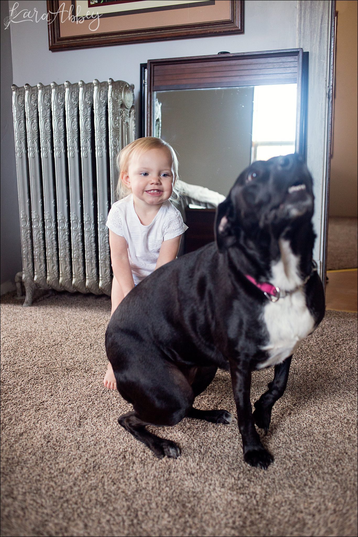Abby's Saturday (a weekly photo featuring my Black Lab) BLOOPER REEL from 2016 by Irwin, PA Photographer
