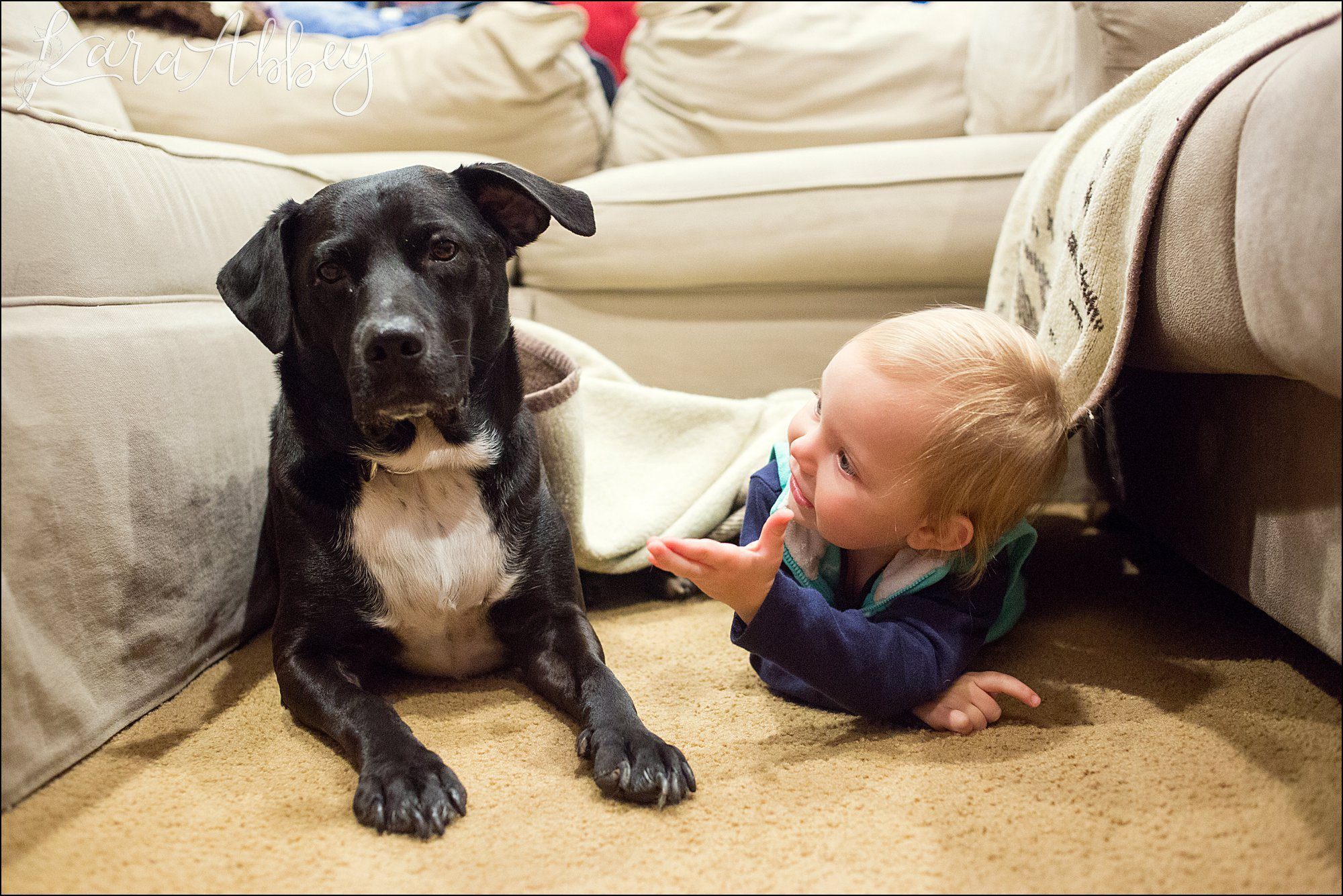 Abby's Saturday (a weekly photo featuring my Black Lab) BLOOPER REEL from 2016 by Irwin, PA Photographer