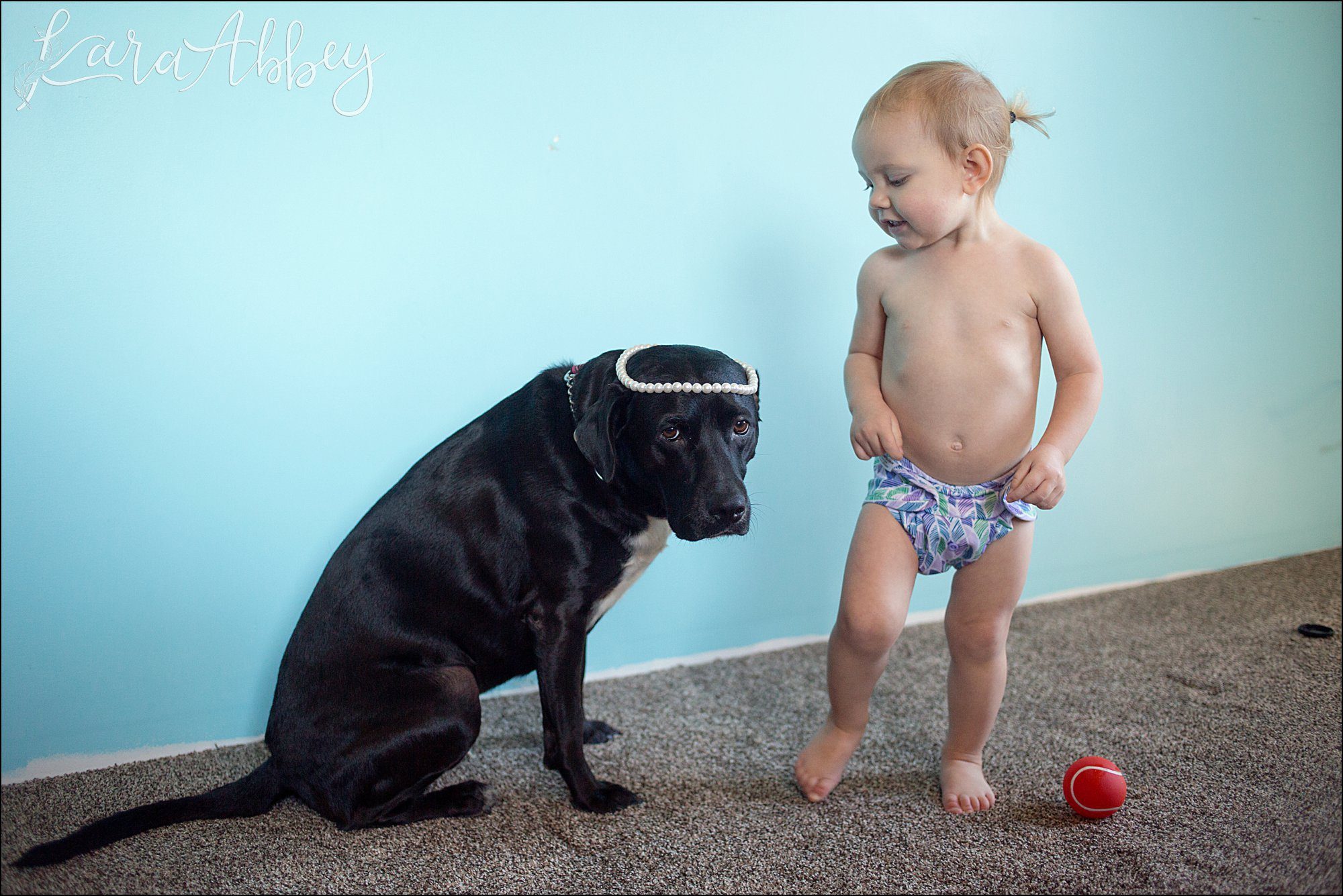 Abby's Saturday (a weekly photo featuring my Black Lab) BLOOPER REEL from 2016 by Irwin, PA Photographer