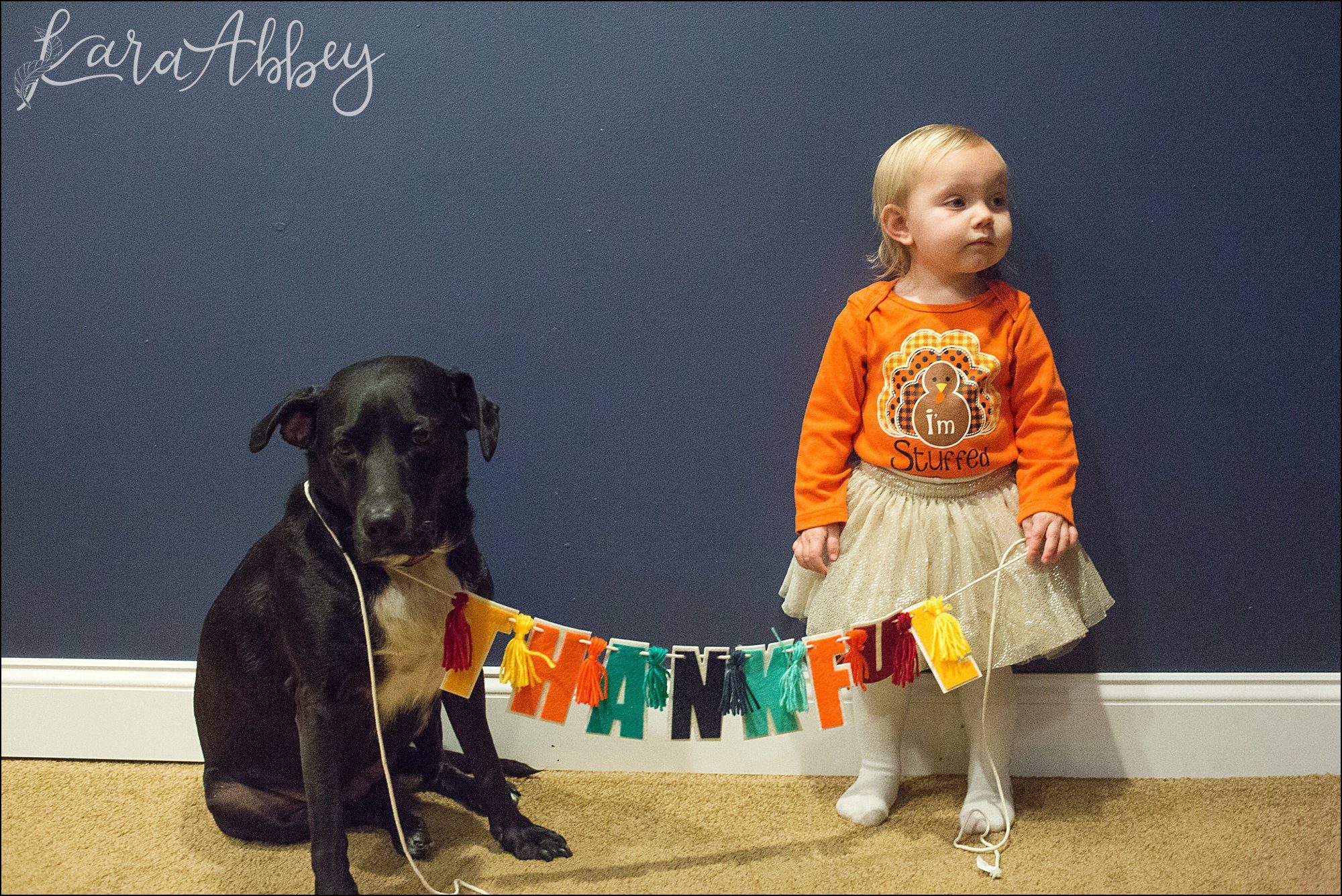 Abby's Saturday (a weekly photo featuring my Black Lab) BLOOPER REEL from 2016 by Irwin, PA Photographer