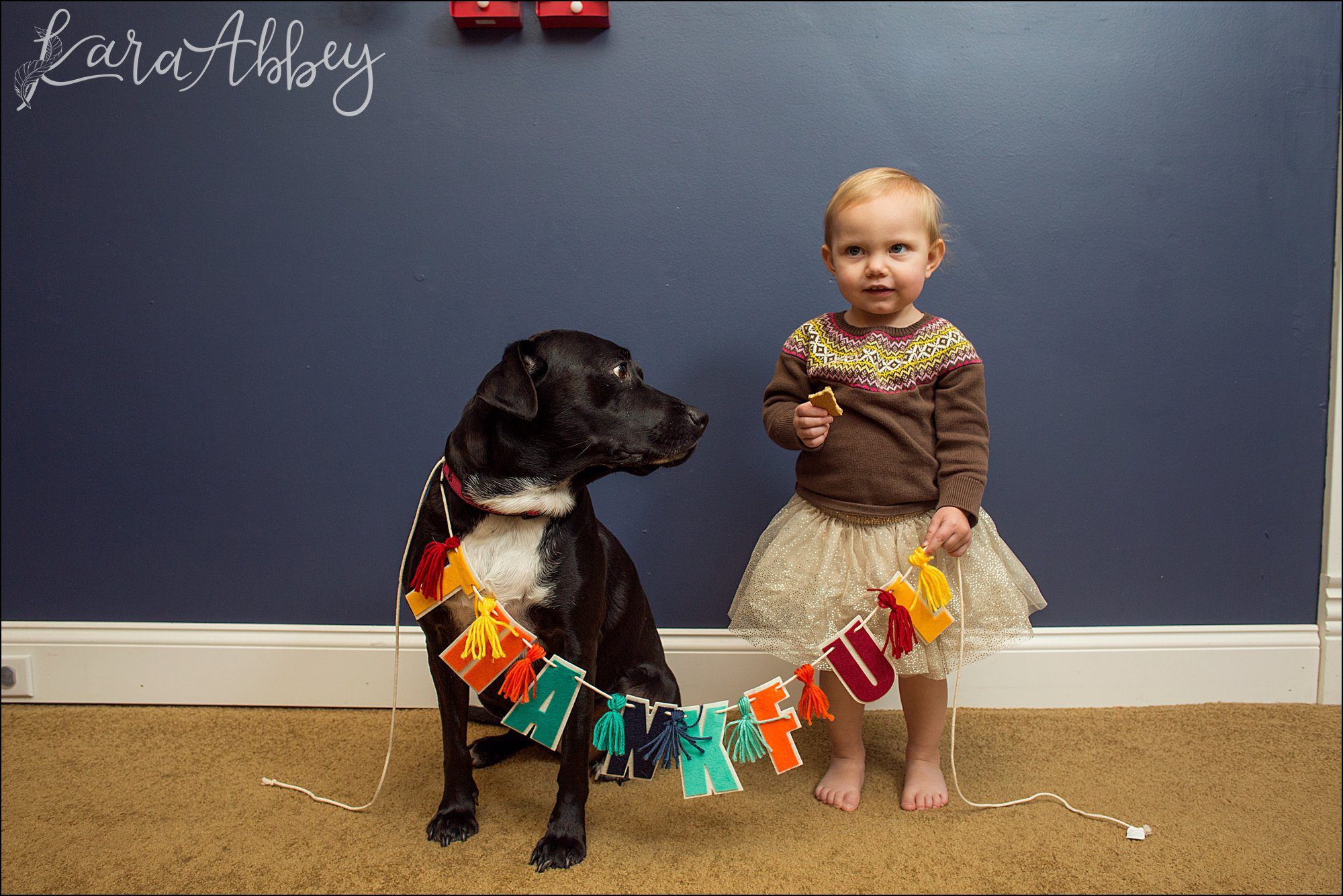 Abby's Saturday (a weekly photo featuring my Black Lab) BLOOPER REEL from 2016 by Irwin, PA Photographer