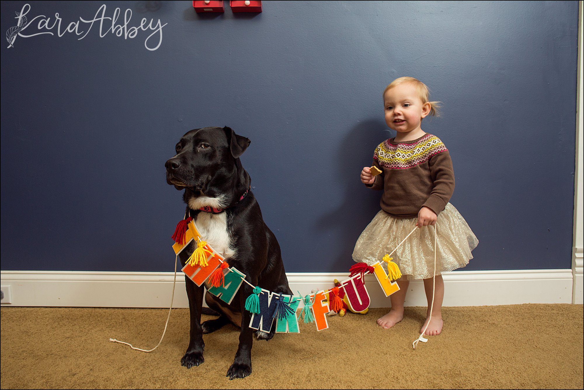 Abby's Saturday (a weekly photo featuring my Black Lab) BLOOPER REEL from 2016 by Irwin, PA Photographer