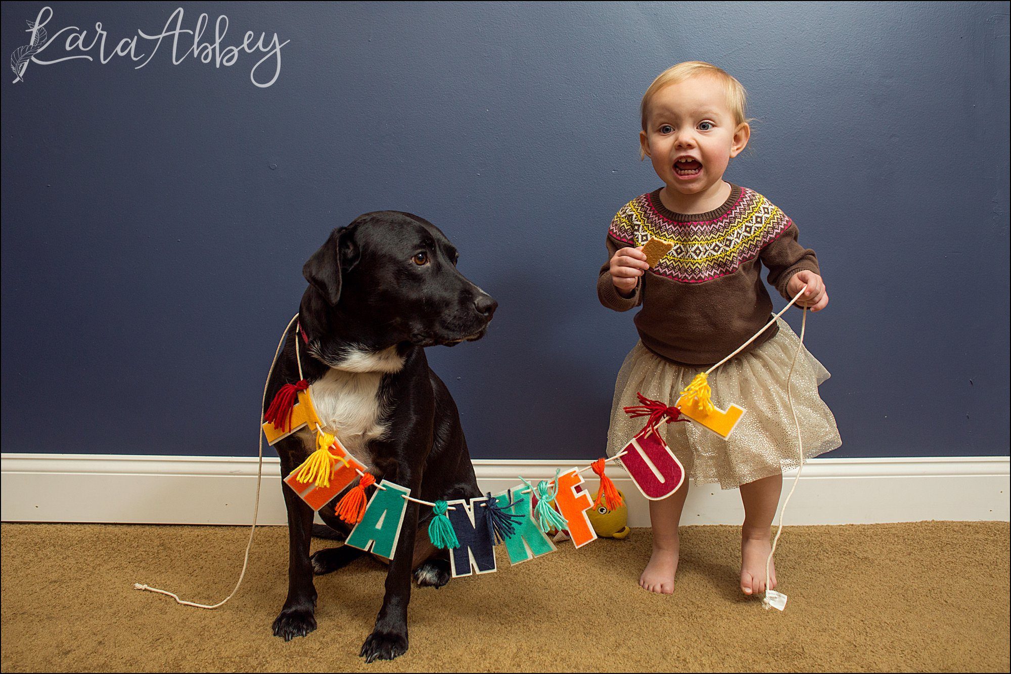 Abby's Saturday (a weekly photo featuring my Black Lab) BLOOPER REEL from 2016 by Irwin, PA Photographer