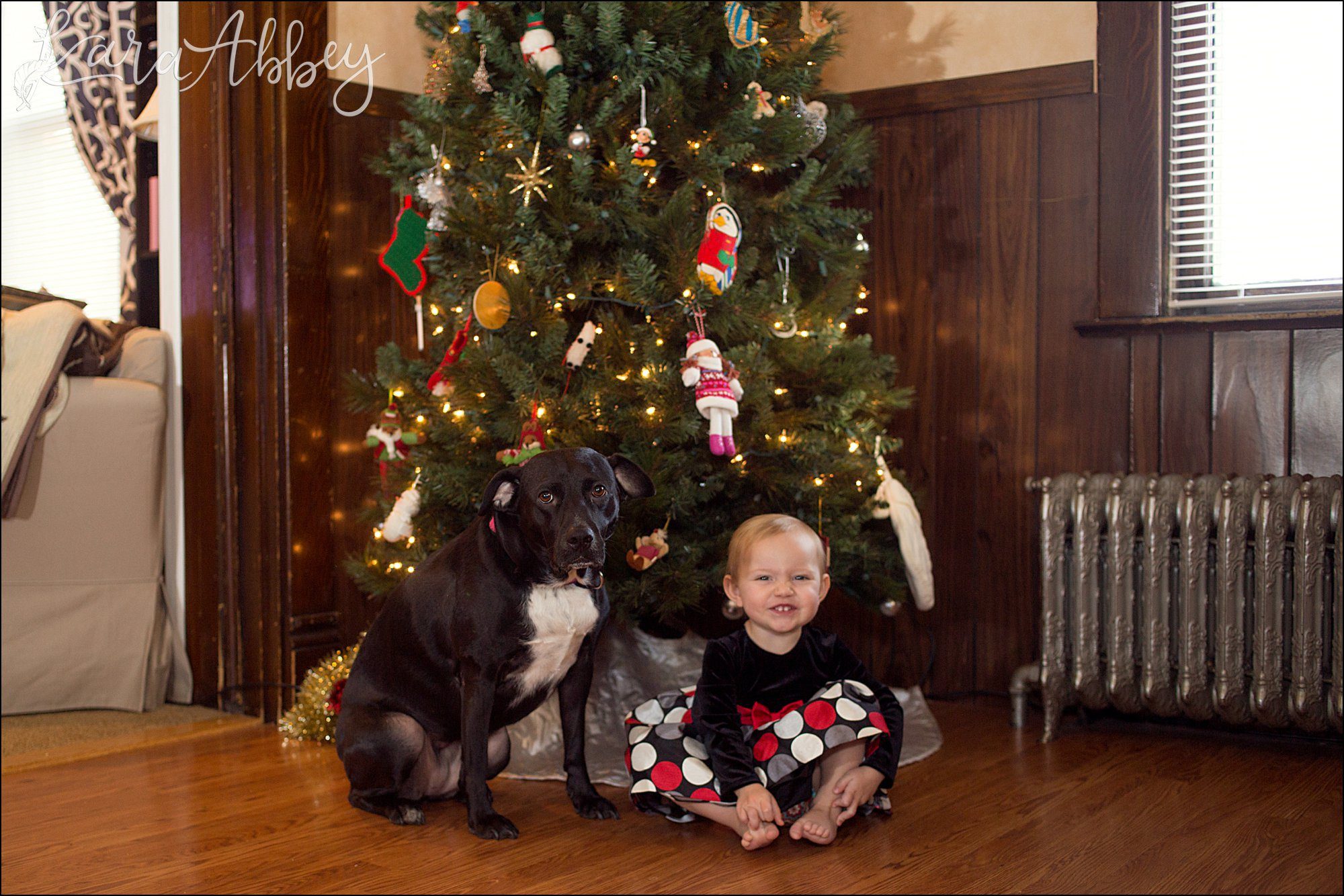 Abby's Saturday (a weekly photo featuring my Black Lab) BLOOPER REEL from 2016 by Irwin, PA Photographer
