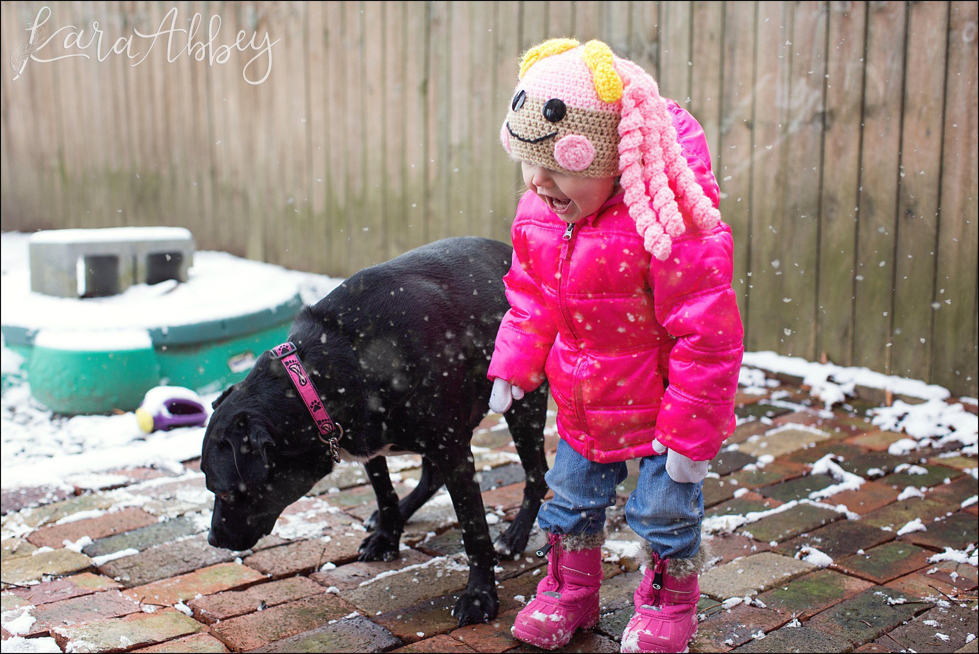 Abby's Saturday (a weekly photo featuring my Black Lab) BLOOPER REEL from 2016 by Irwin, PA Photographer