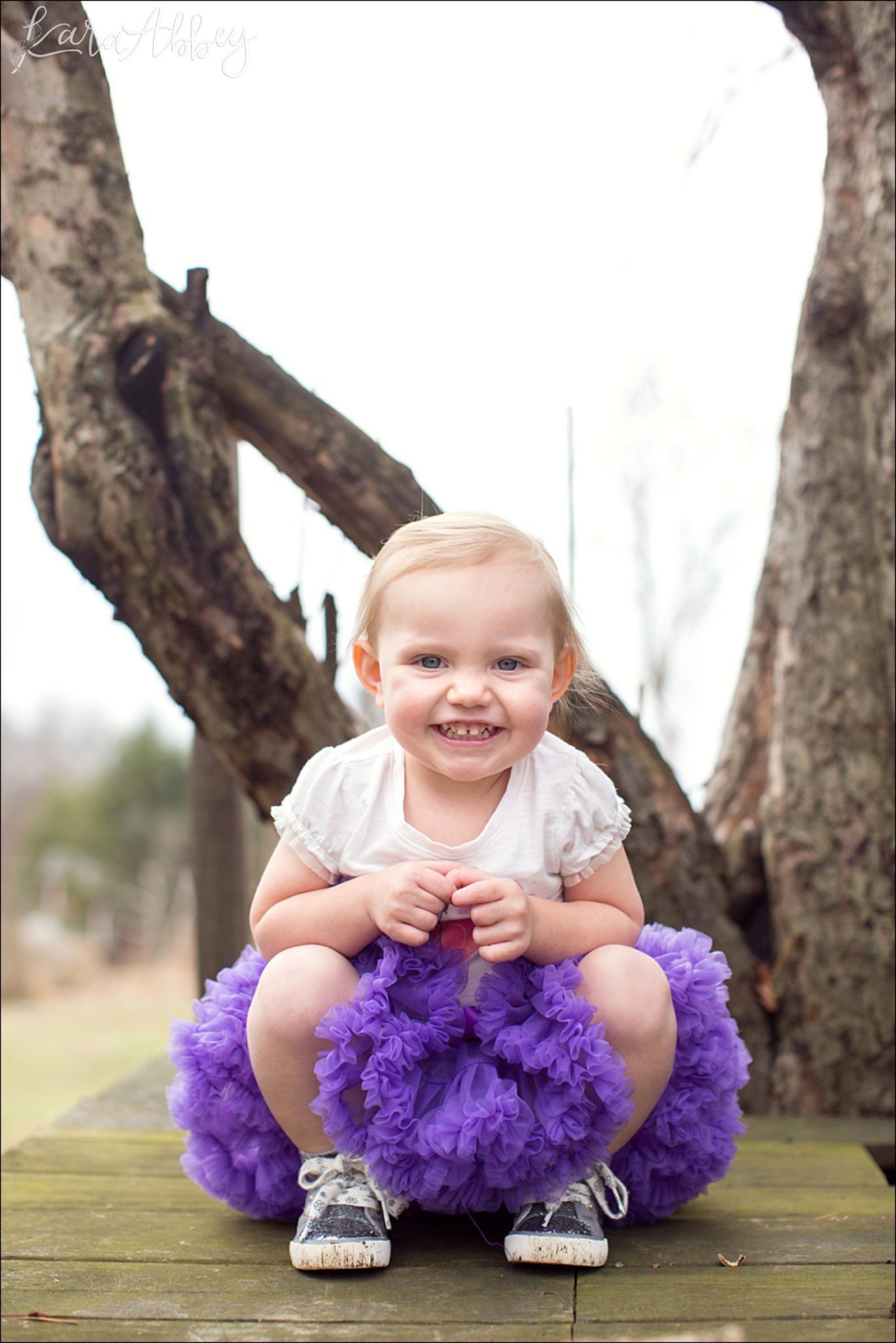 Happy 2nd Birthday Braelynn Portraits by Irwin, PA Wedding Photographer