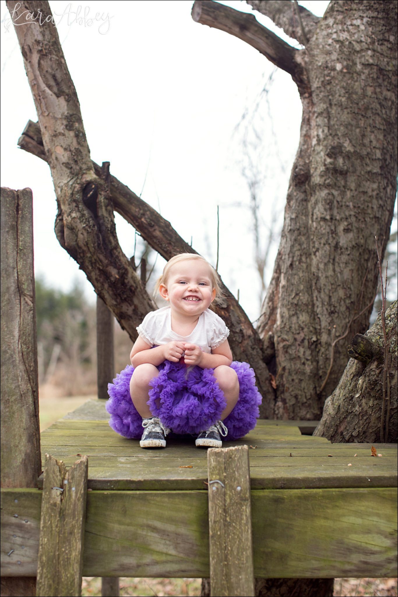 Happy 2nd Birthday Braelynn Portraits by Irwin, PA Wedding Photographer