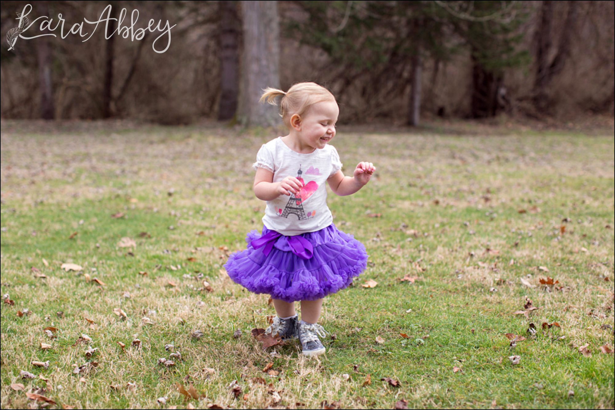 Happy 2nd Birthday Braelynn Portraits by Irwin, PA Wedding Photographer