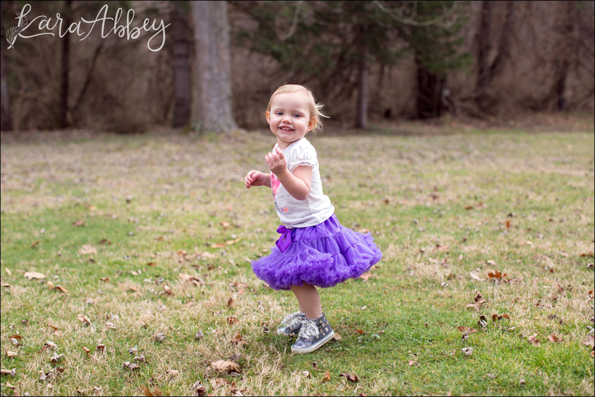 Happy 2nd Birthday Braelynn Portraits by Irwin, PA Wedding Photographer