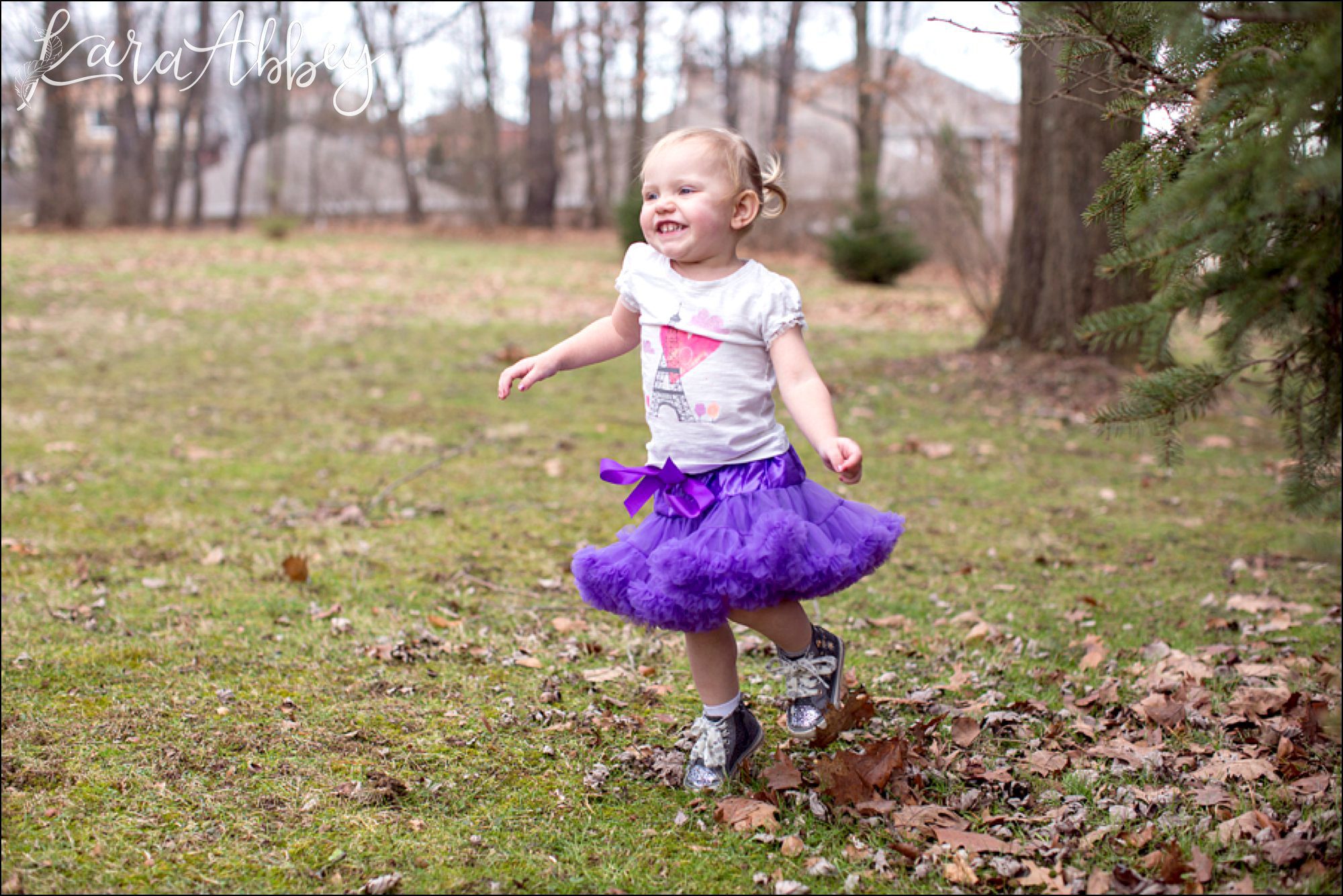 Happy 2nd Birthday Braelynn Portraits by Irwin, PA Wedding Photographer