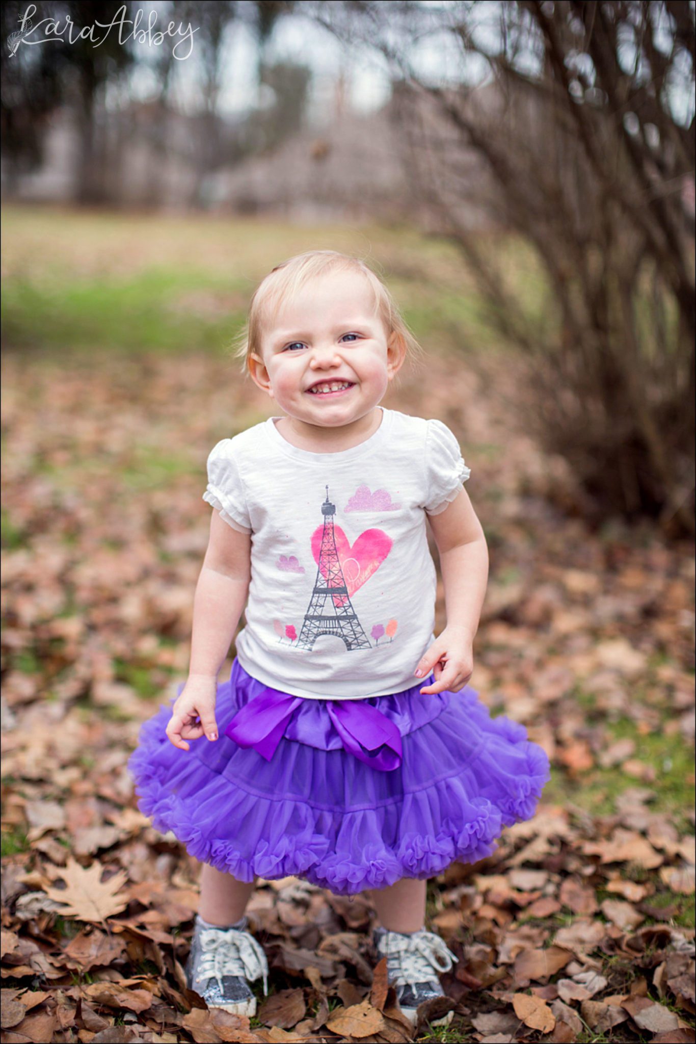 Happy 2nd Birthday Braelynn Portraits by Irwin, PA Wedding Photographer