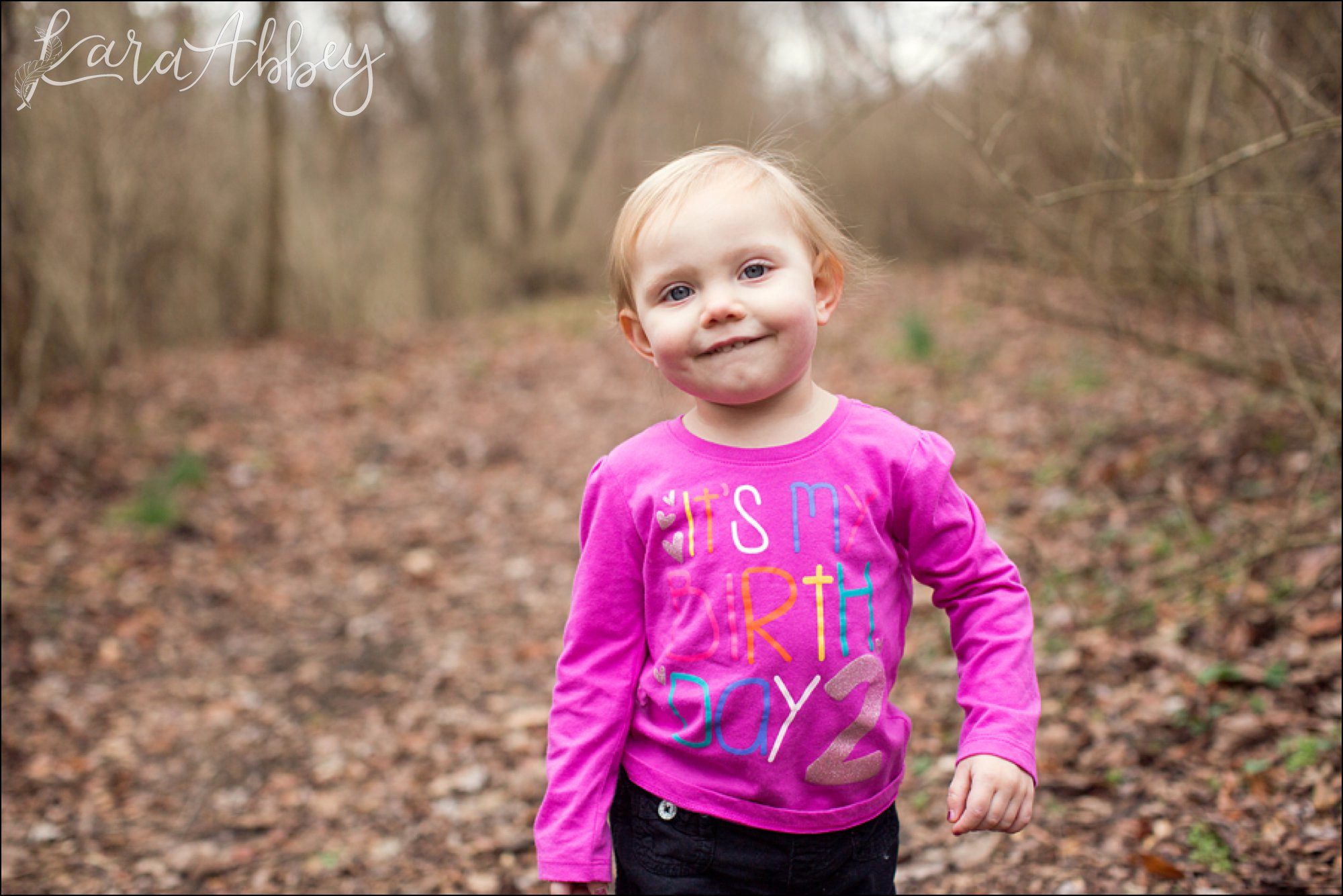 Happy 2nd Birthday Braelynn Portraits by Irwin, PA Wedding Photographer