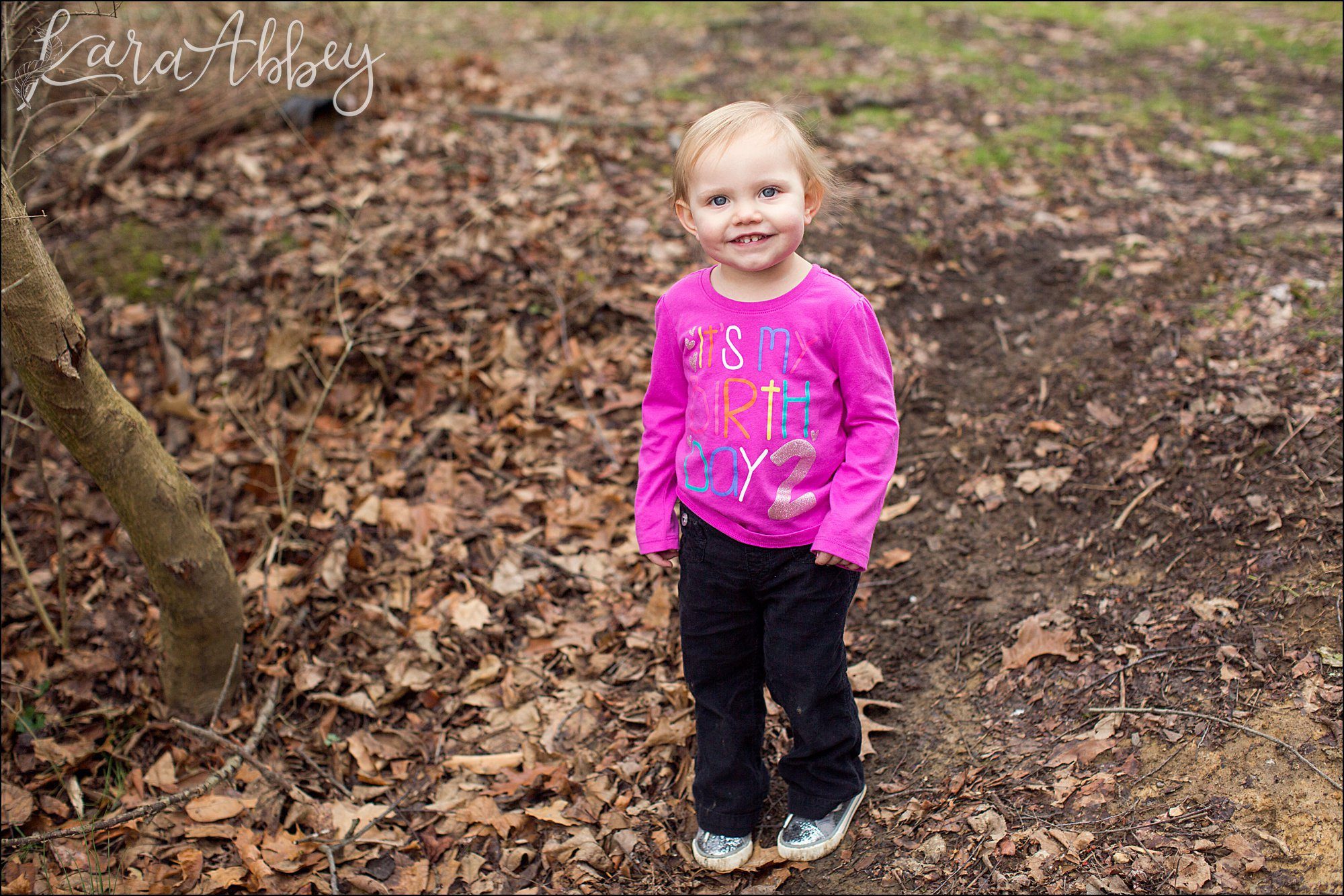 Happy 2nd Birthday Braelynn Portraits by Irwin, PA Wedding Photographer