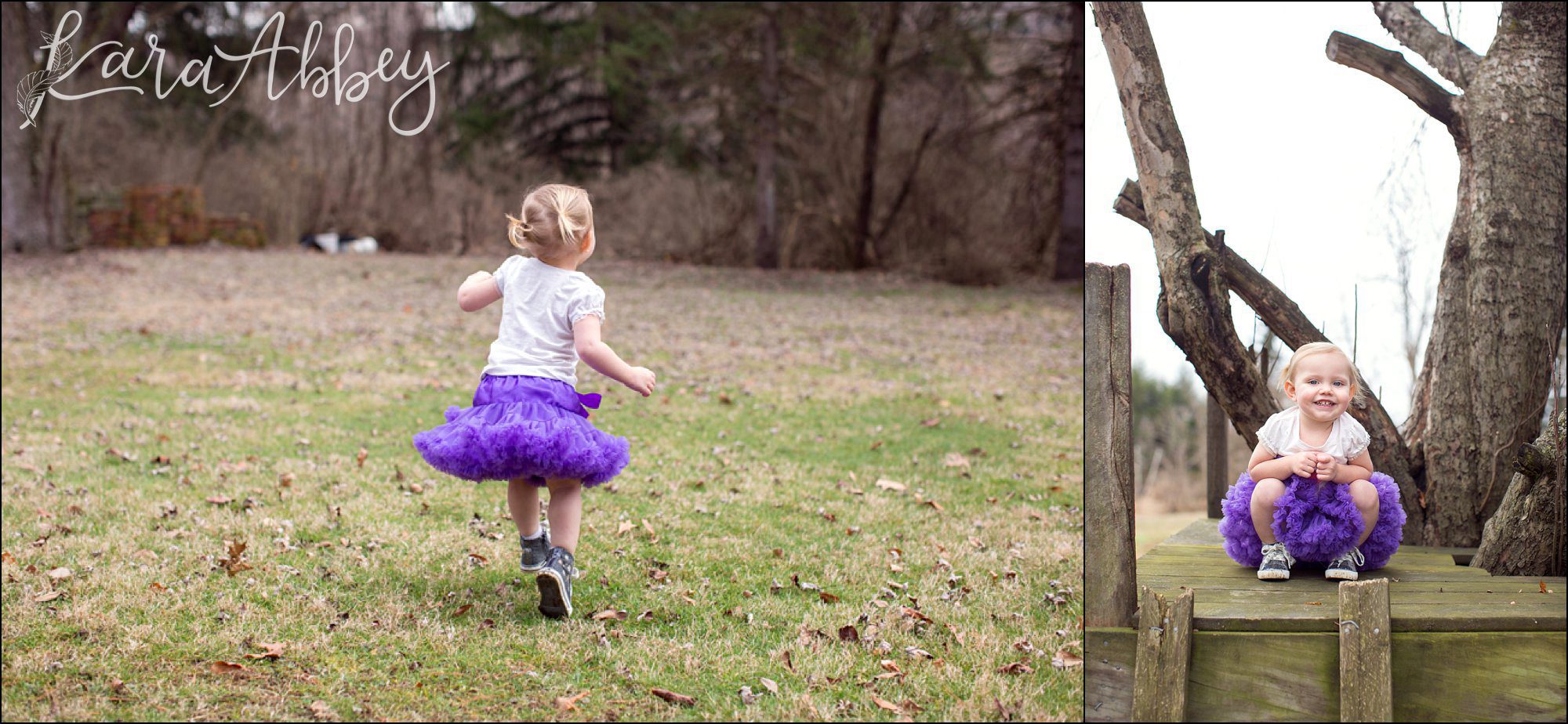 Happy 2nd Birthday Braelynn Portraits by Irwin, PA Wedding Photographer