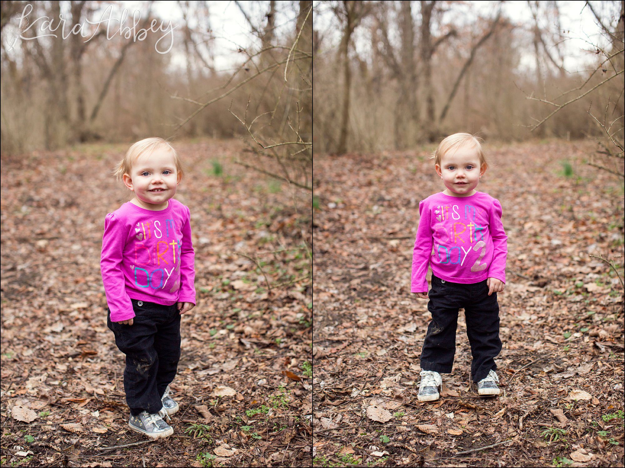 Happy 2nd Birthday Braelynn Portraits by Irwin, PA Wedding Photographer