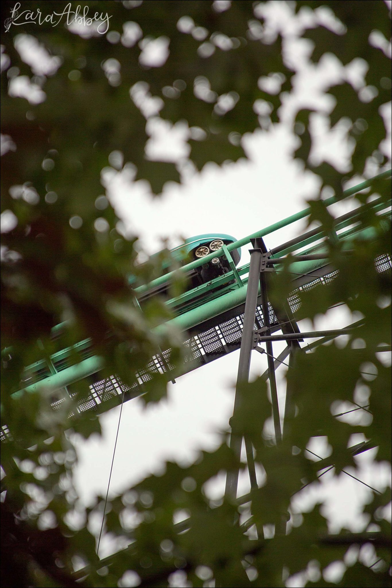 Phantom's Revenge Roller Coaster at Kennywood Park in Pittsburgh, PA