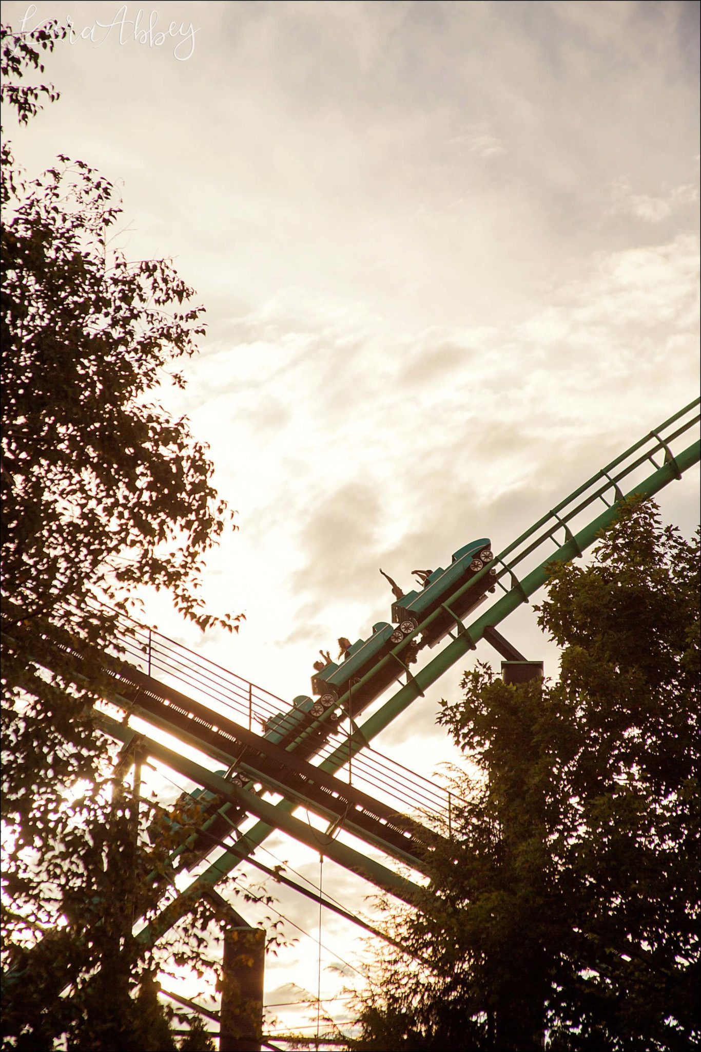 Phantom's Revenge Roller Coaster at Kennywood Park in Pittsburgh, PA
