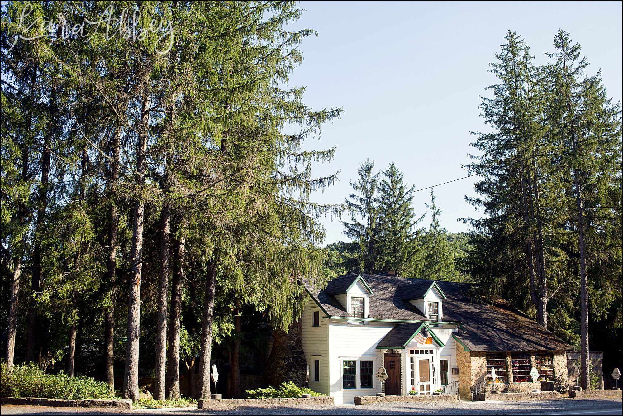 Green Gables Summer Wedding by Irwin, PA Wedding Photographer
