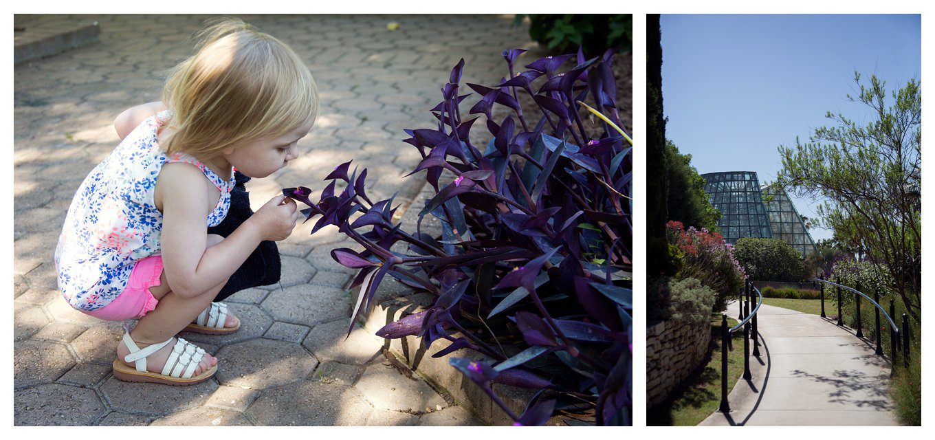 Our Vacation to Texas - at the Botanical Gardens