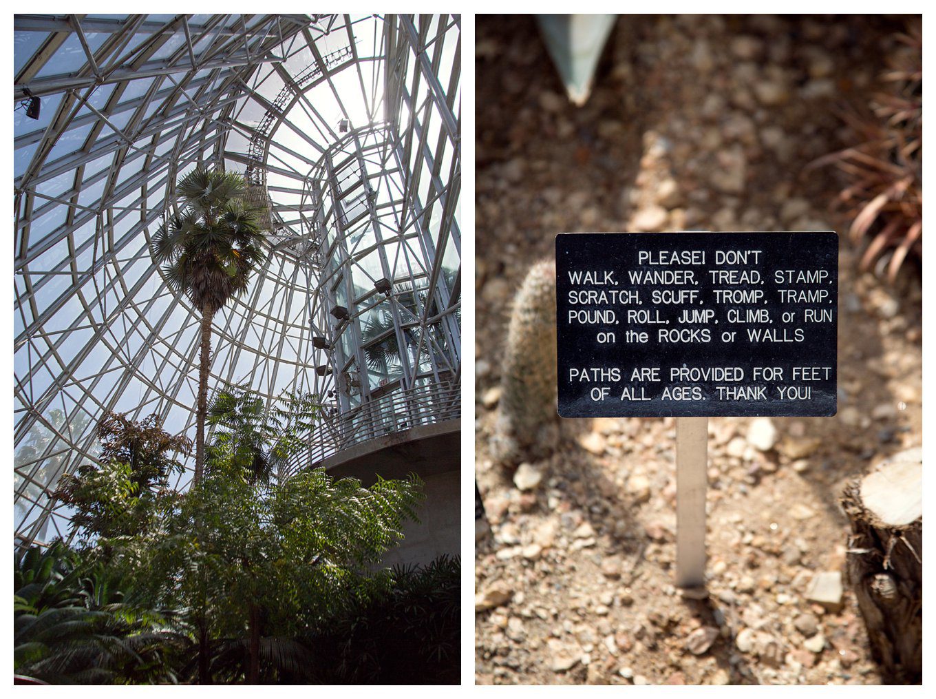 Our Vacation to Texas - at the Botanical Gardens