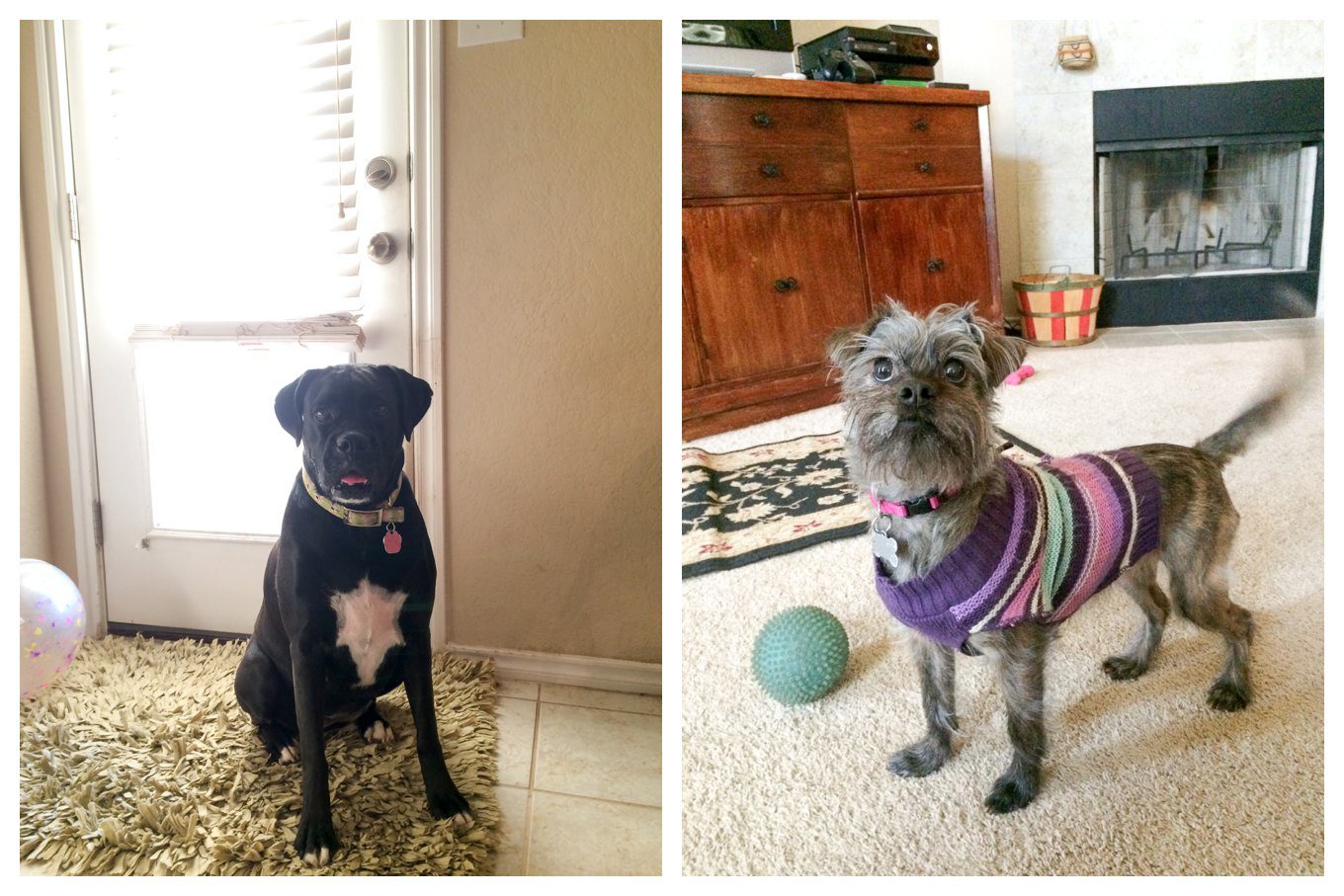 Our Vacation to Texas